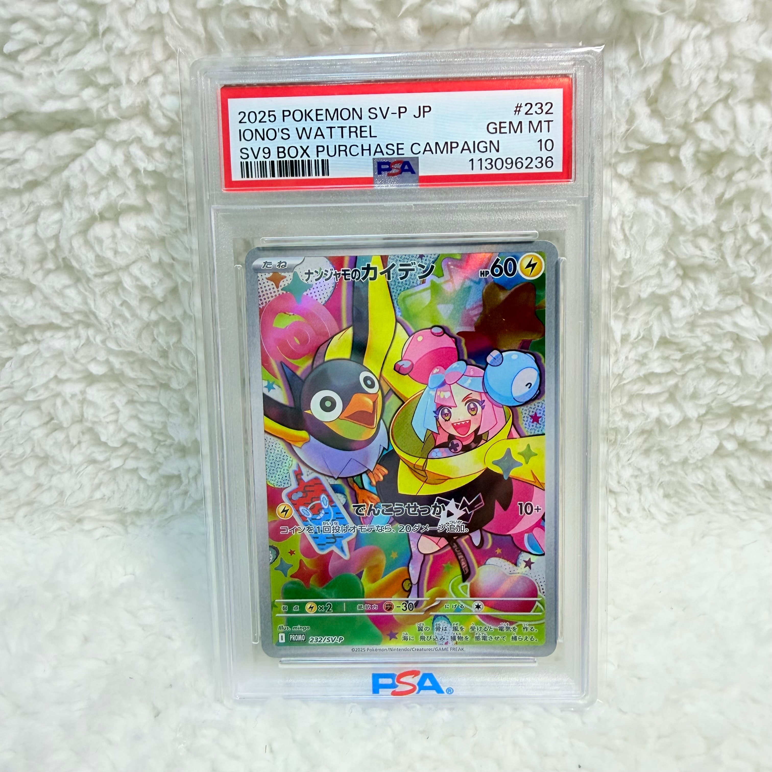 ナンジャモのカイデン P [SV-P 232](プロモーションカード「拡張パック バトルパートナーズ Box購入キャンペーン」)