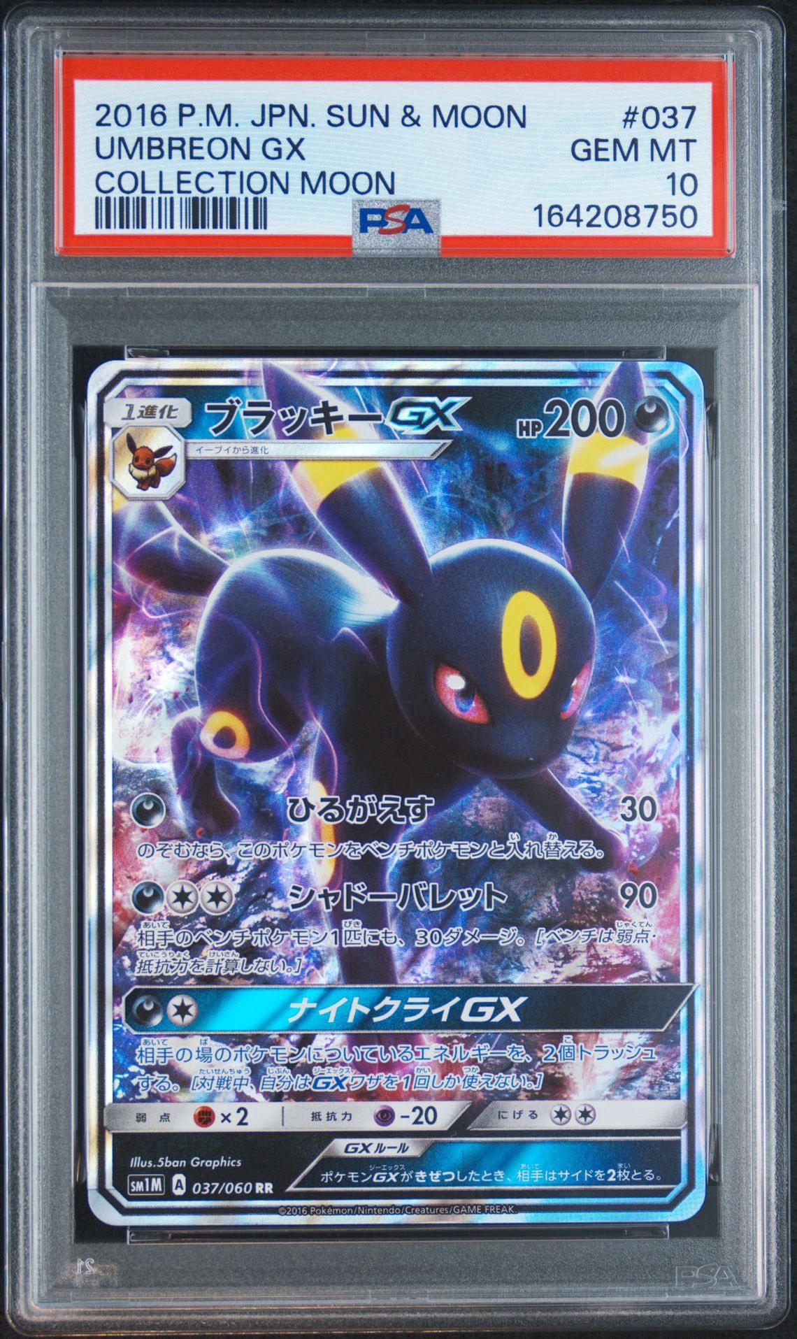 ブラッキーGX RR[SM1M 037/060](拡張パック「コレクション ムーン