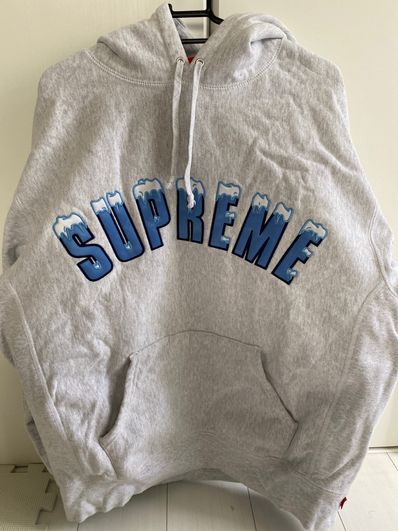 Supreme Icy Arc Hooded Sweatshirt "Ash Grey"