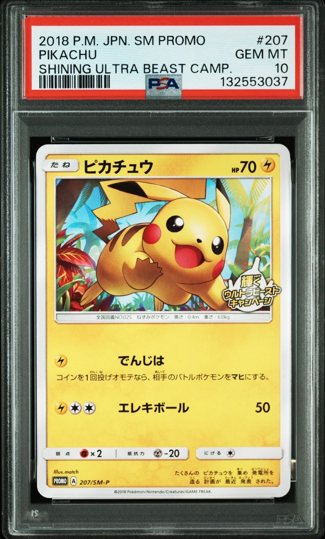 ピカチュウ: プロモ [SM-P 207](プロモーションカード「SM-P」)