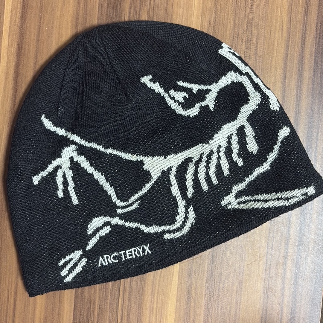 ARC'TERYX Bird Head Toque "Orca"