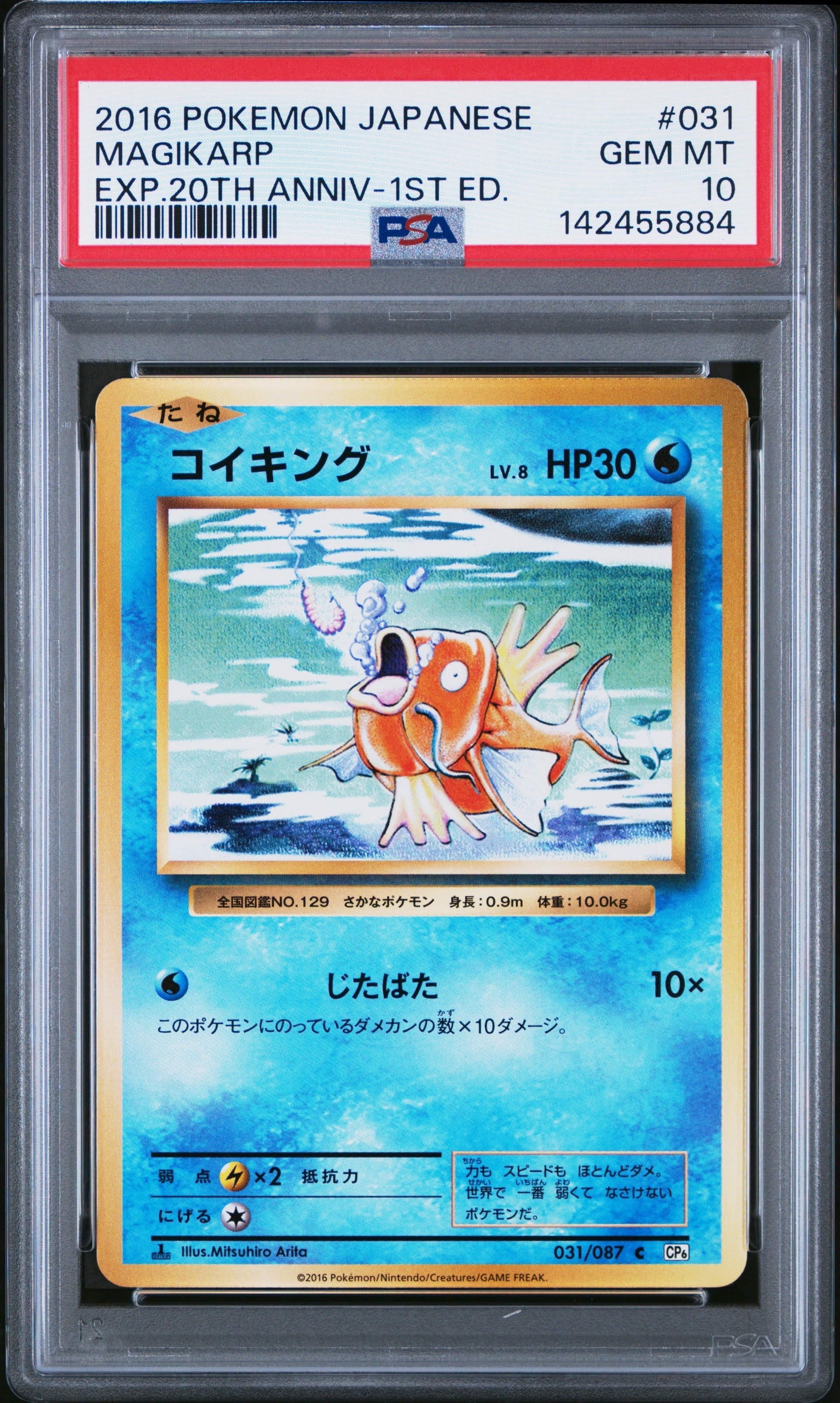 コイキング C :1ED [CP6 031/087](コンセプトパック「ポケットモンスターカードゲーム 拡張パック 20th Anniversary」)