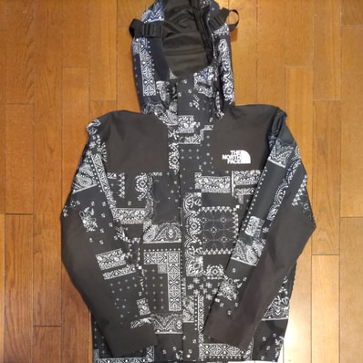 The North Face NOVELTY GTX MOUNTAIN JACKET "Black"