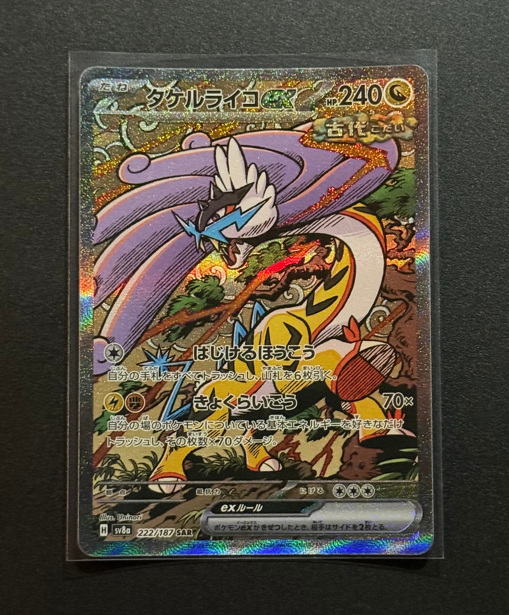 タケルライコex SAR [SV8a 222/187](ハイクラスパック「テラスタルフェスex」)