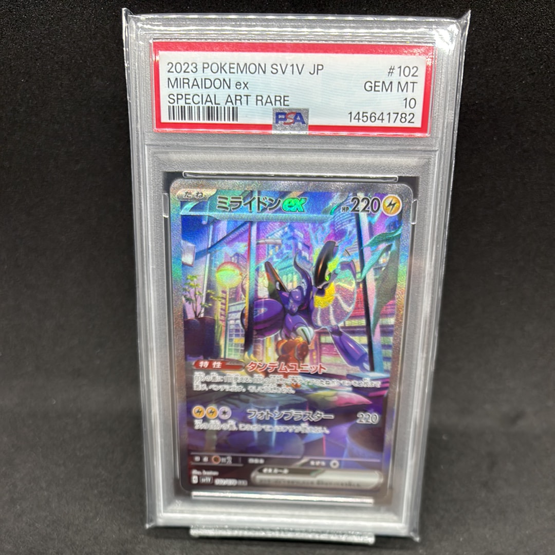 センパイとコウハイ SR :1ED [XY5-G 077/070](拡張パック「ガイア