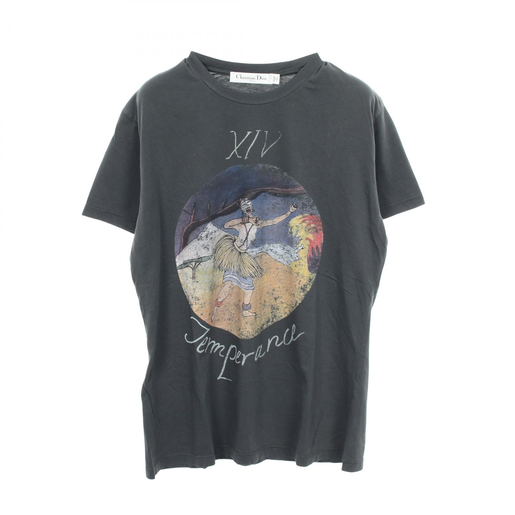 ディオール Dior プリント クルーネック 半袖Tシャツ 衣料品 トップス コットン レディース グレー系 【中古】