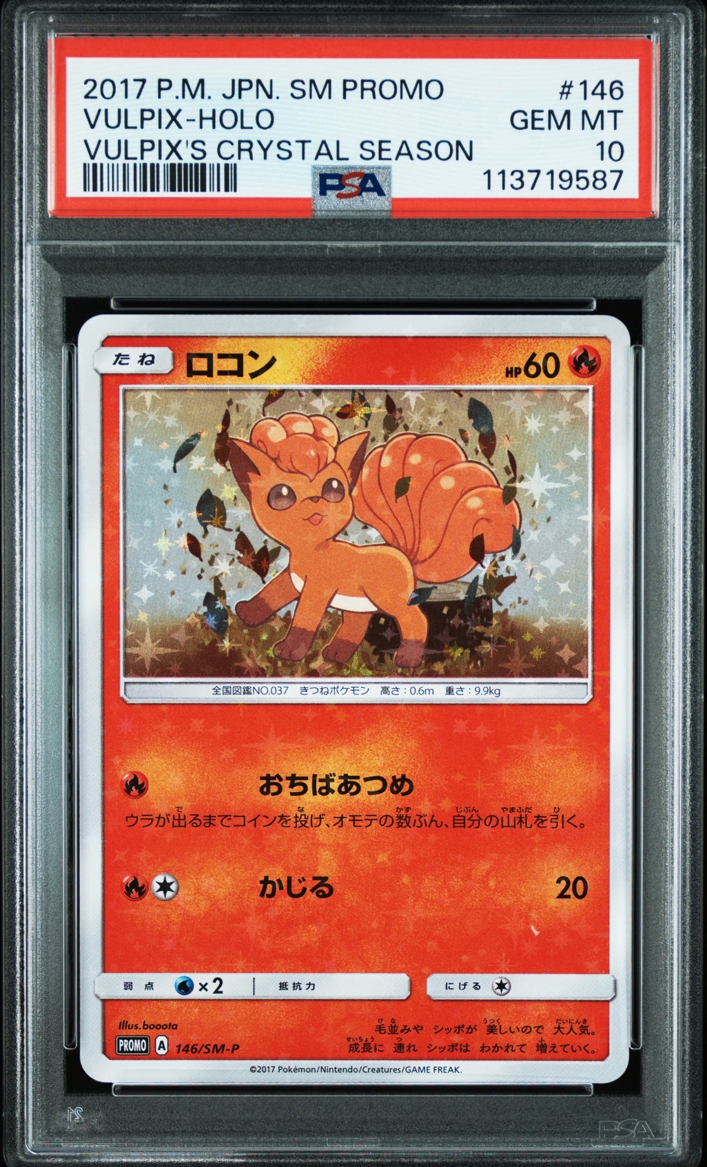 ロコン: プロモ[SM-P 146](プロモーションカード「SM-P」)