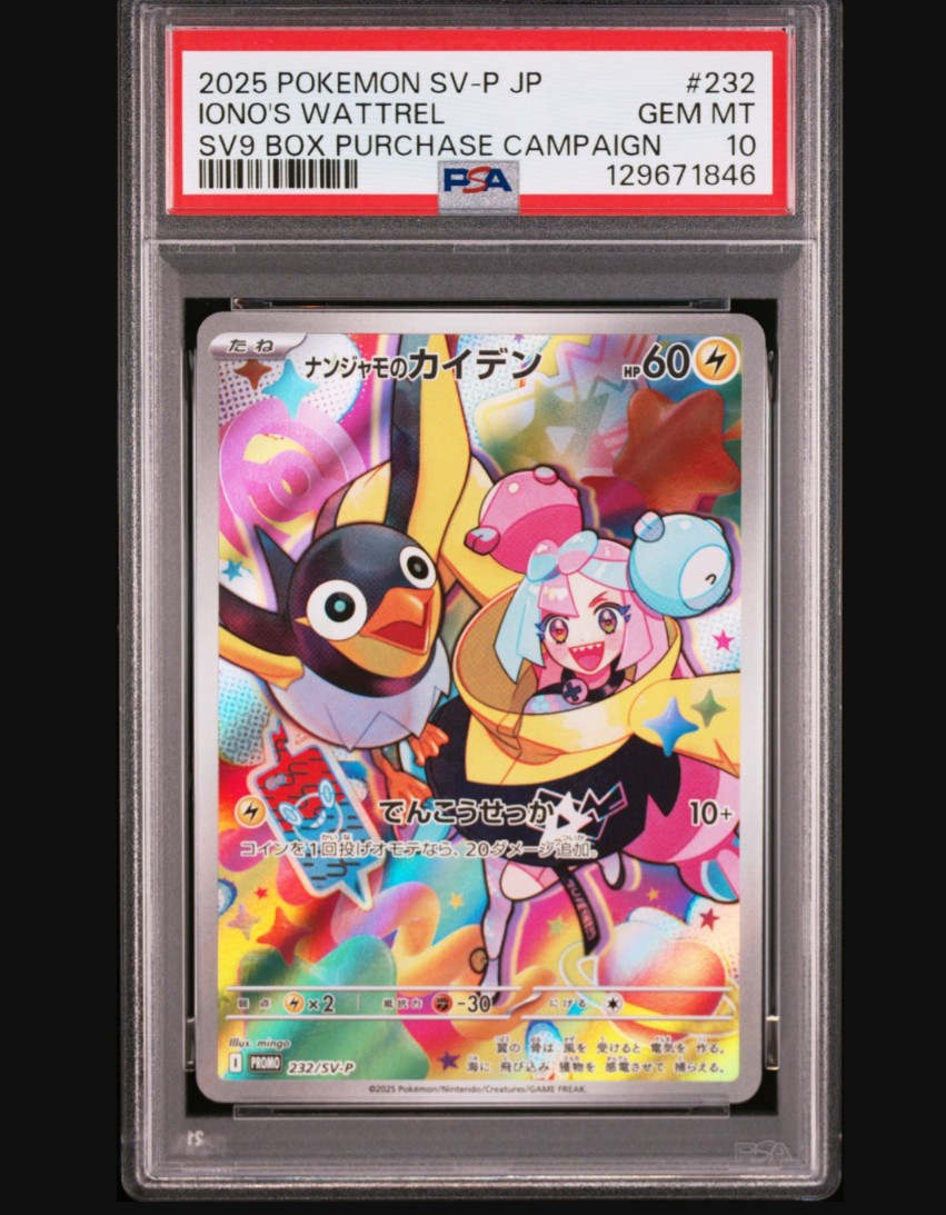 ナンジャモのカイデン P [SV-P 232](プロモーションカード「拡張パック バトルパートナーズ Box購入キャンペーン」)
