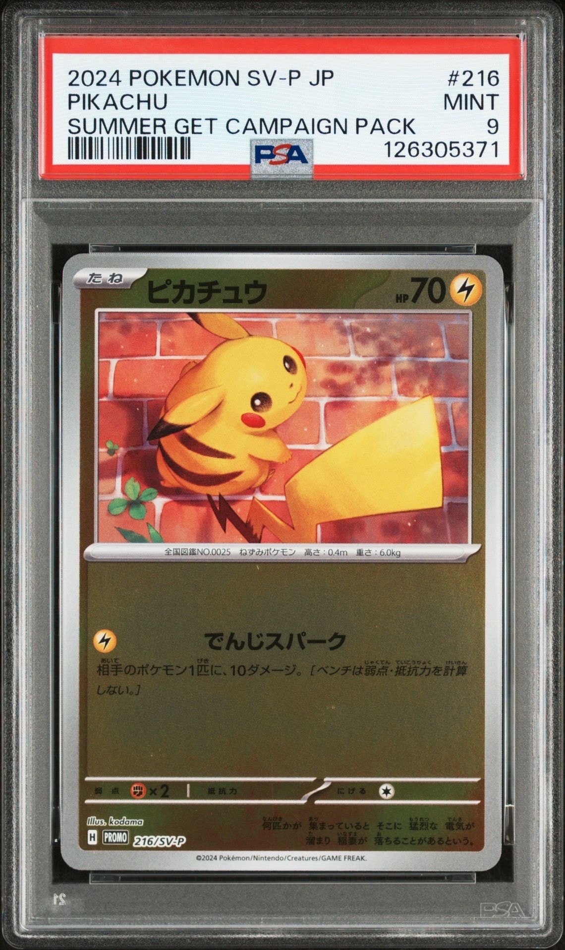 ピカチュウ P [SV-P 216](プロモカードパック「ポケカの夏がキタ!プロモカードGetキャンペーン!」)