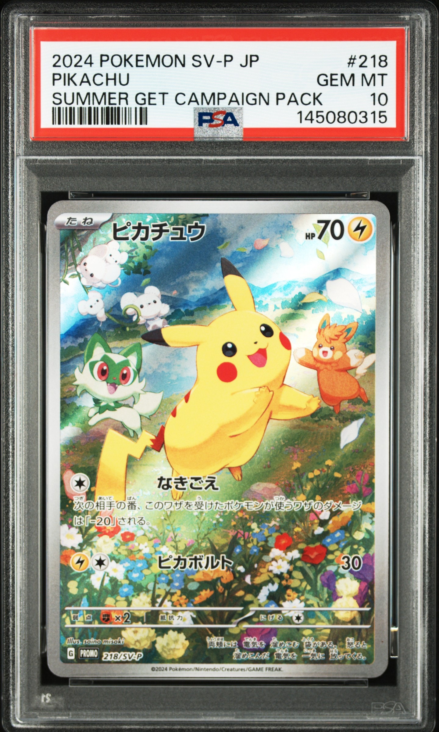 なみのりピカチュウ: プロモ[XY-P 264/XY-P](プロモーションカード「XY