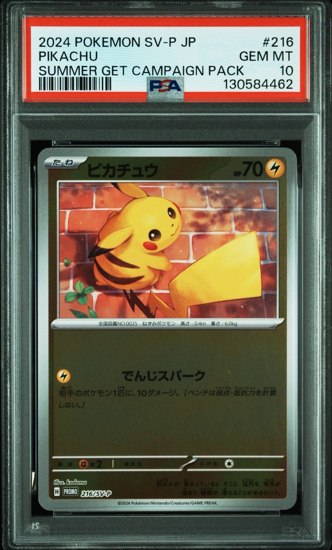 ピカチュウ P [SV-P 216](プロモカードパック「ポケカの夏がキタ!プロモカードGetキャンペーン!」)