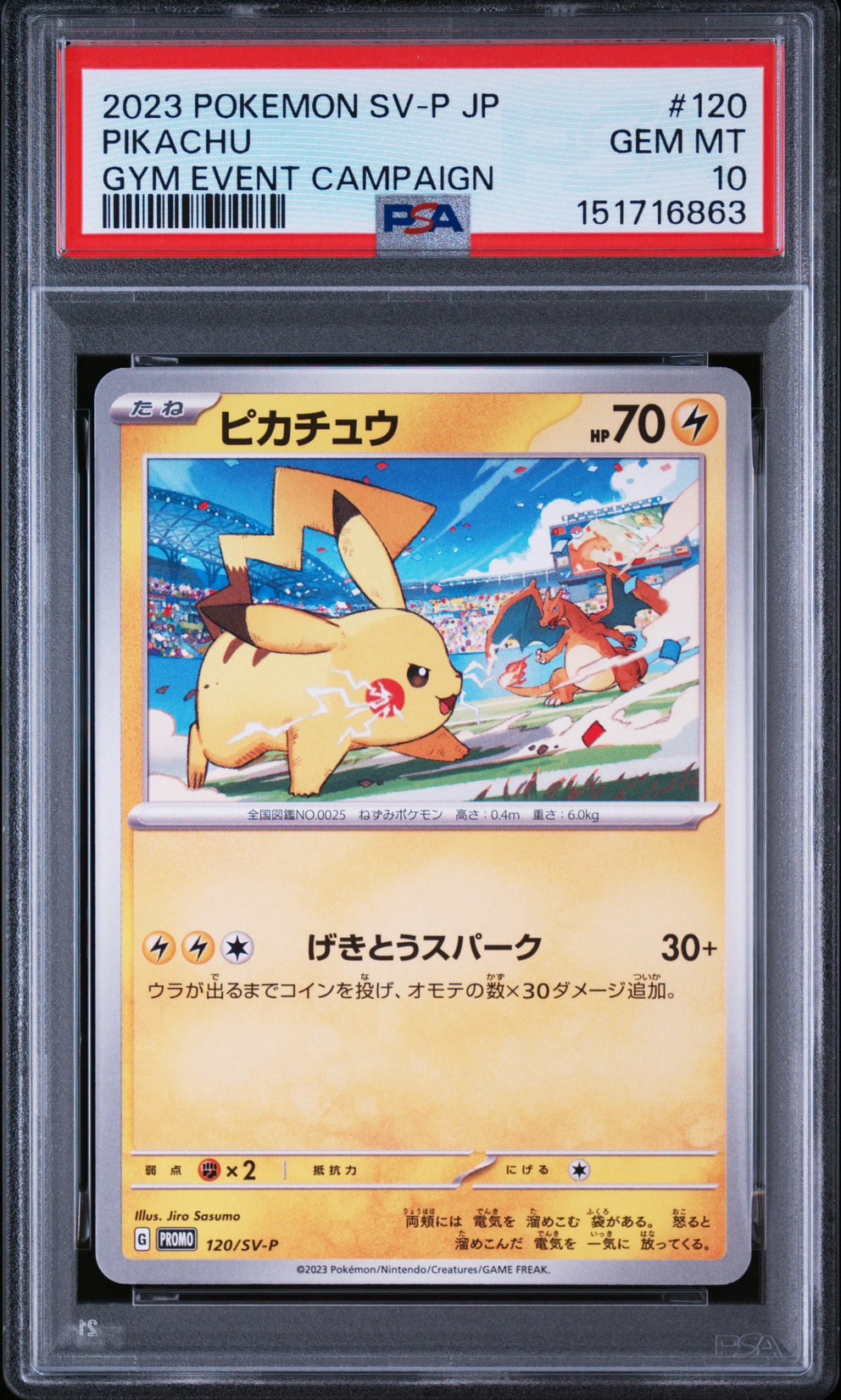 ピカチュウ: プロモ [SV-P 120](プロモーションカード「SV-P」)の新品