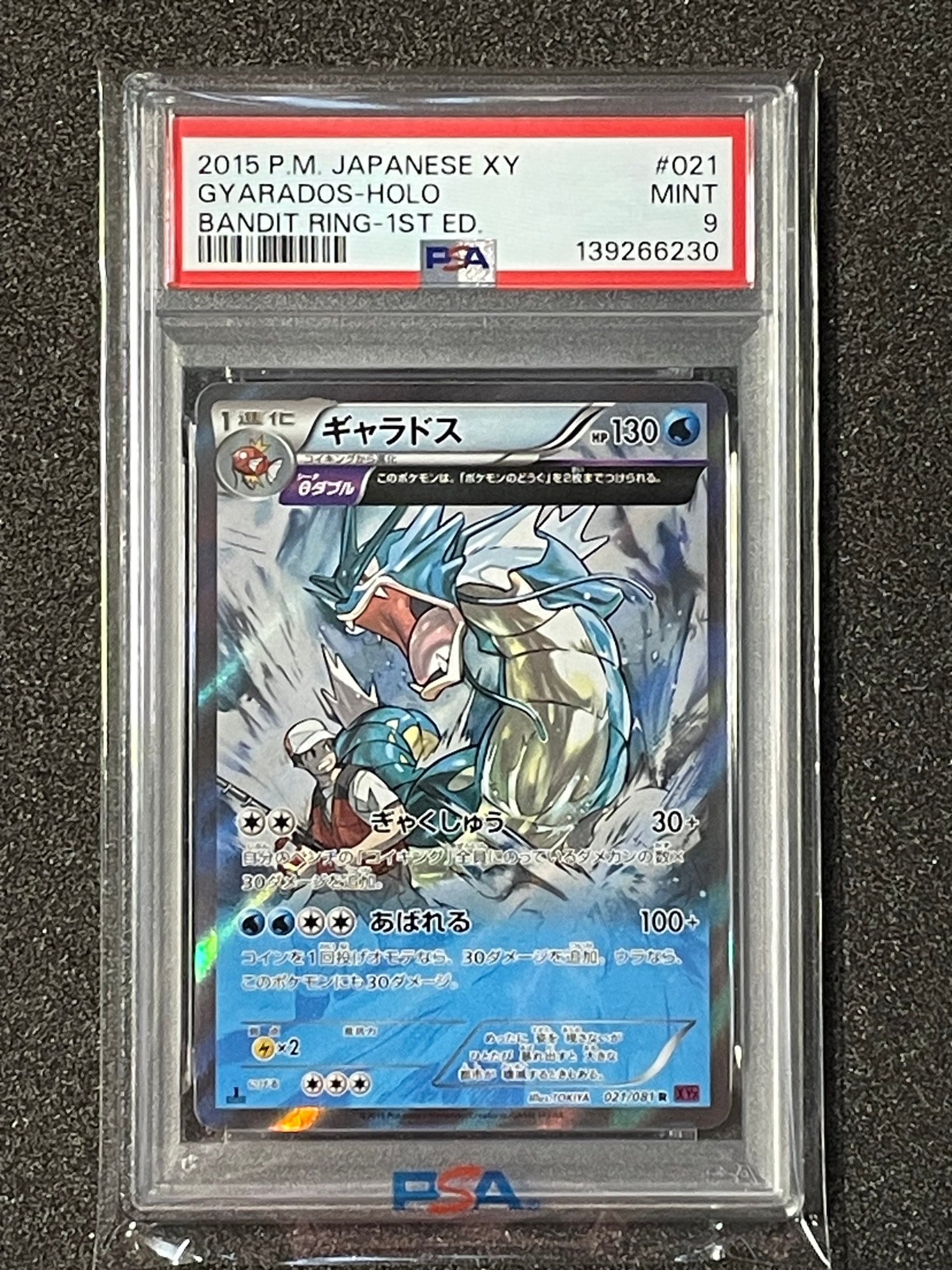 ギャラドス R :1ED [XY7 021/081](拡張パック「バンデットリング