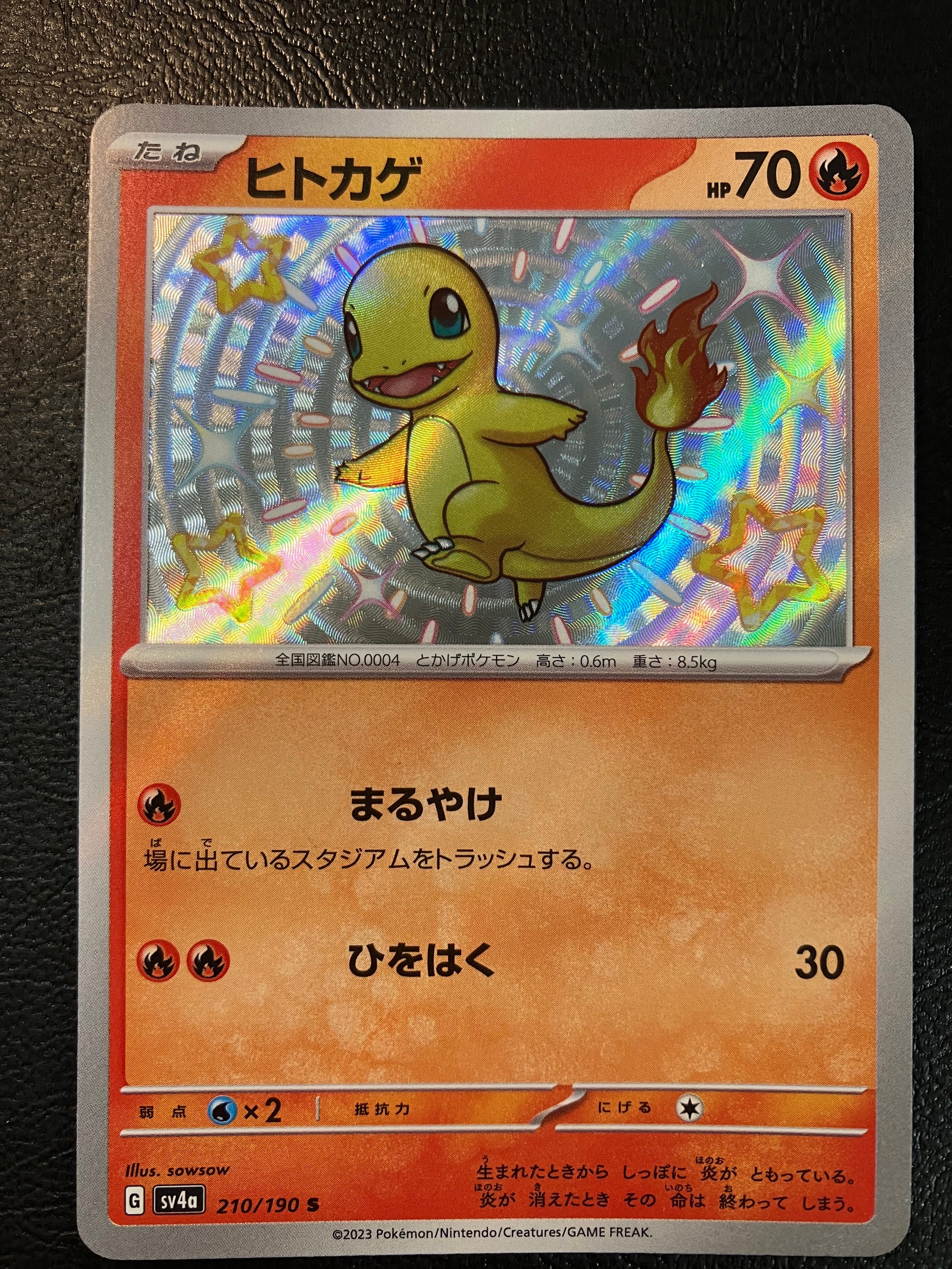 PSA10】ヒトカゲ S[SV4a 210/190](ハイクラスパック「シャイニー