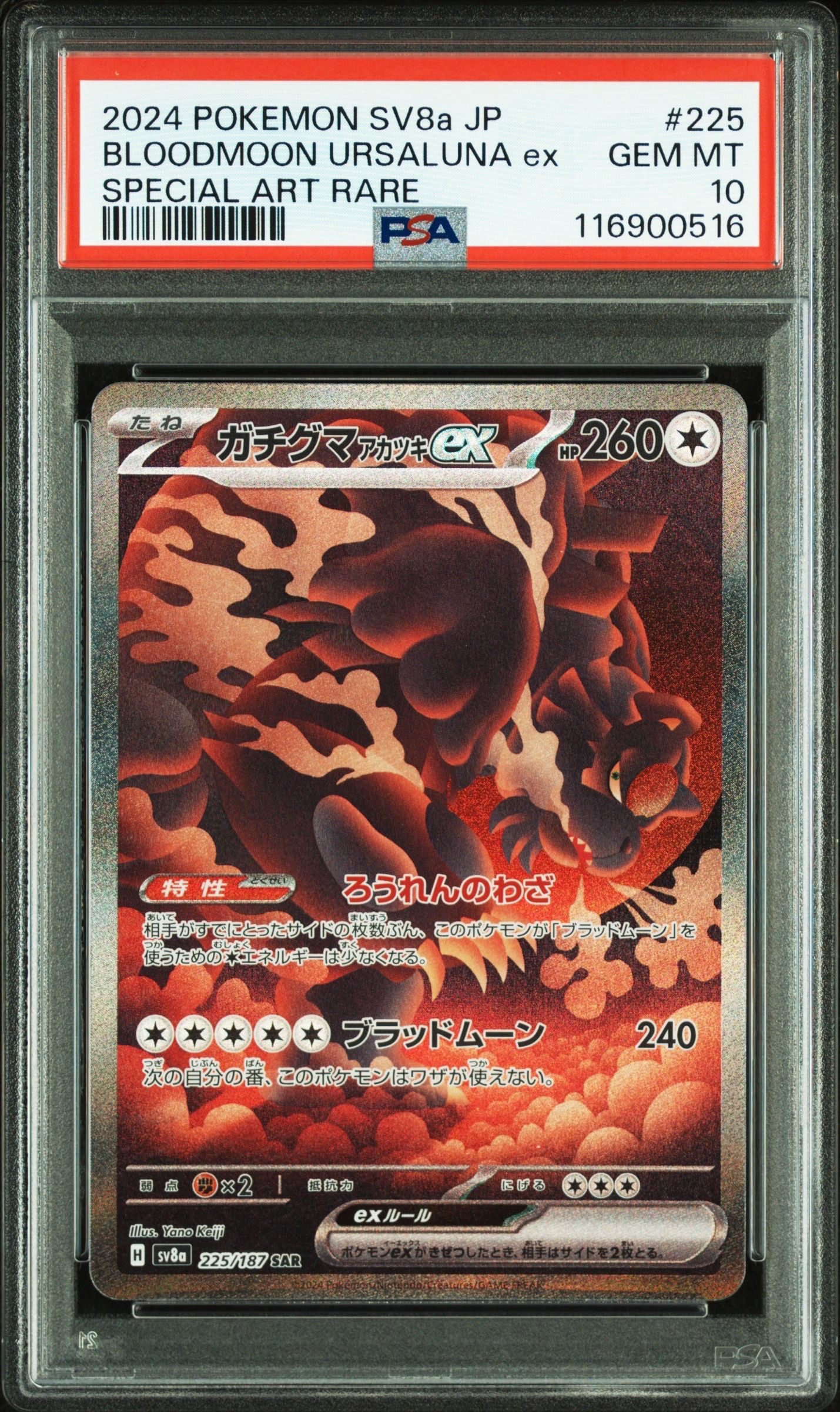 ガチグマ アカツキex SAR [SV8a 225/187](ハイクラスパック「テラスタルフェスex」)