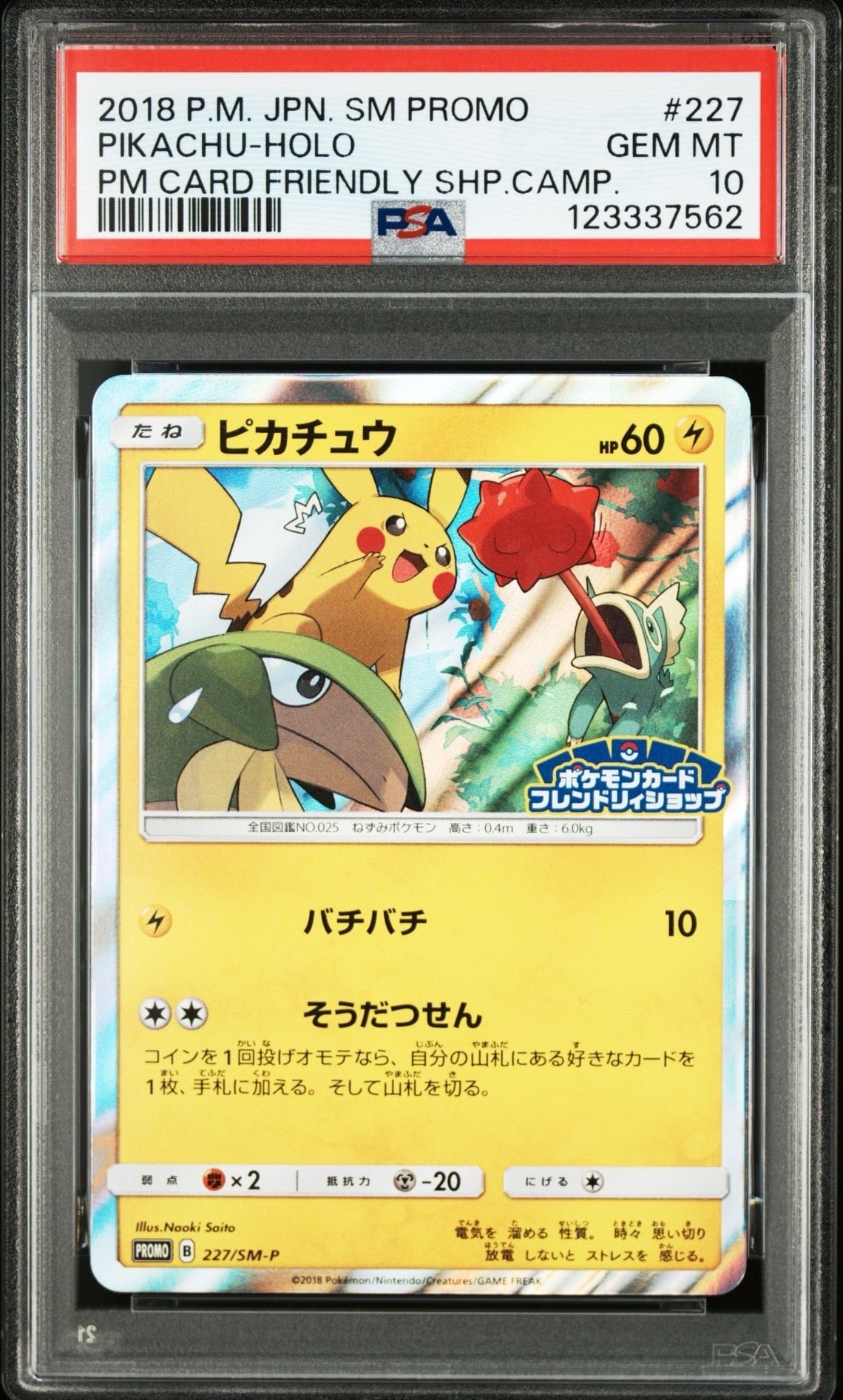 ピカチュウ P [SM-P 227](プロモーションカード「ポケモンカードフレンドリィショップ限定キャンペーン」)