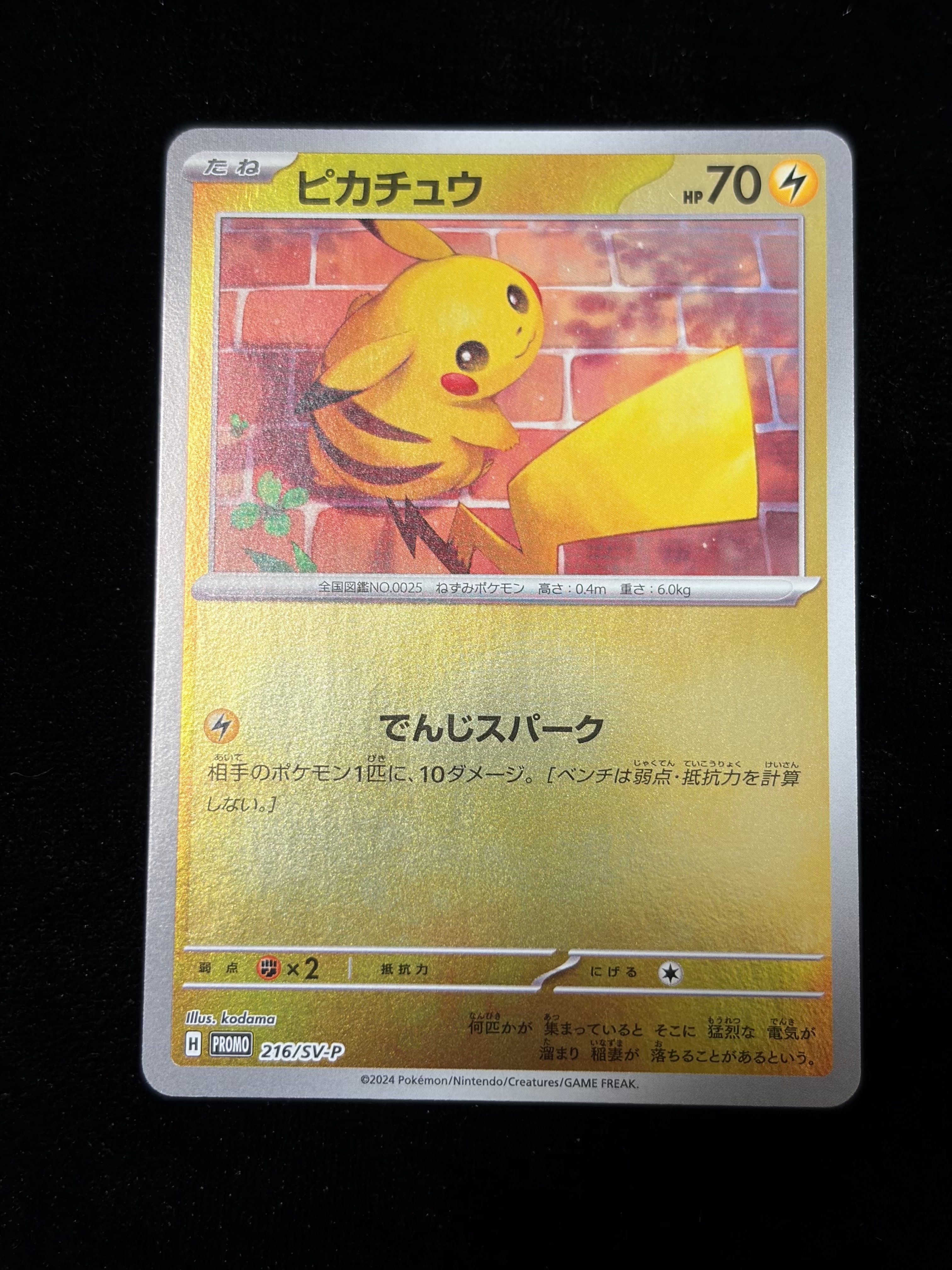 ピカチュウ P [SV-P 216](プロモカードパック「ポケカの夏がキタ!プロモカードGetキャンペーン!」)
