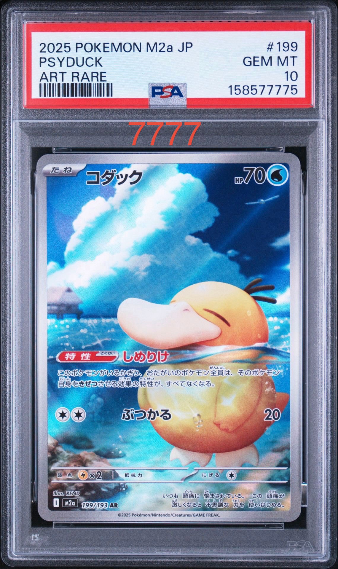 コダック AR [M2a 199/193](ハイクラスパック「MEGAドリームex」)通販
