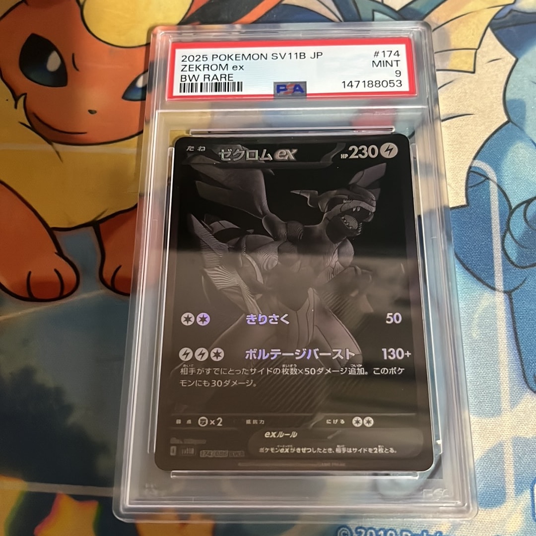 ゼクロムex BWR [SV11B 174/086](拡張パック「ブラックボルト」)通販