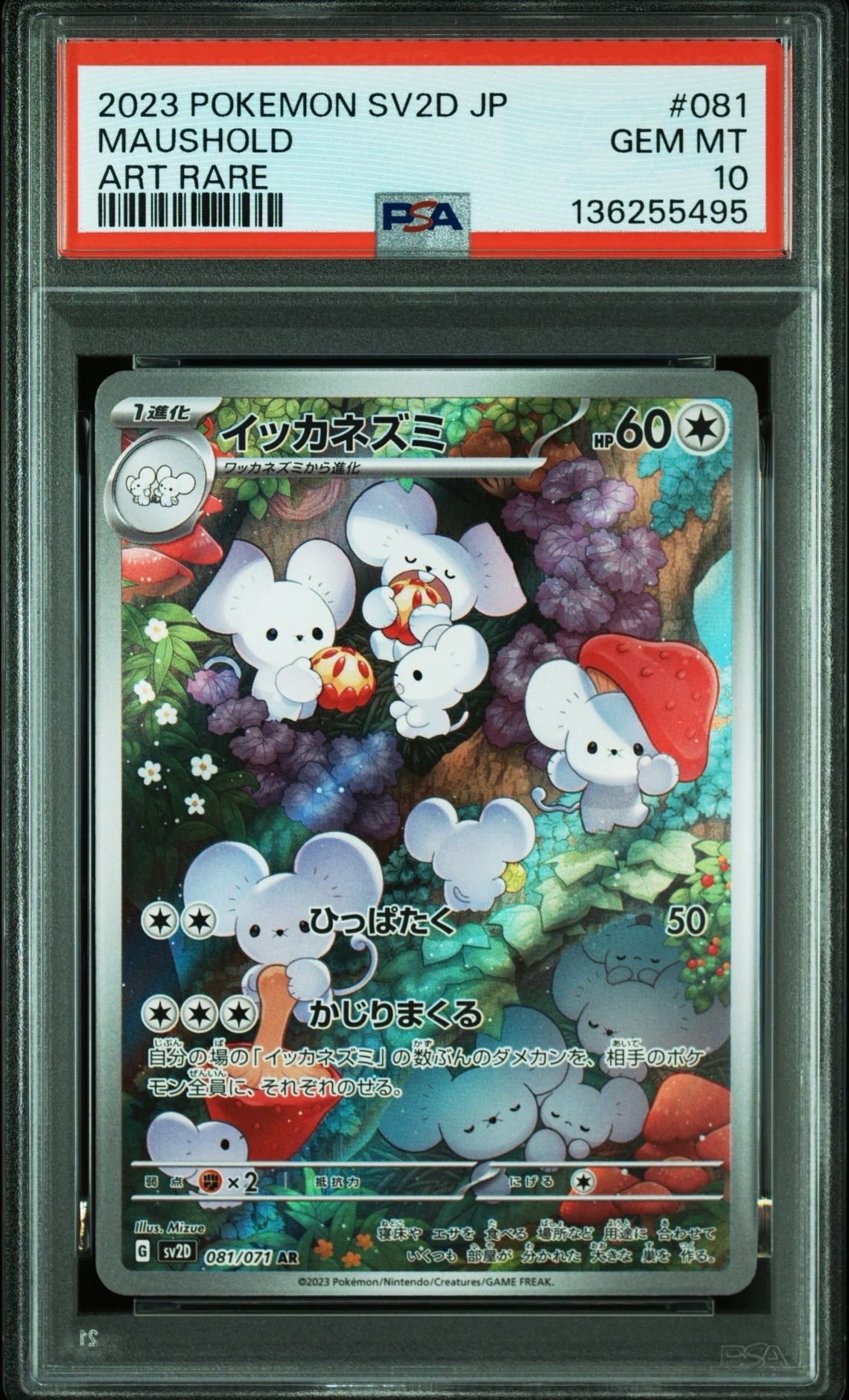 イッカネズミ AR[SV2D 081/071](拡張パック「クレイバースト」)