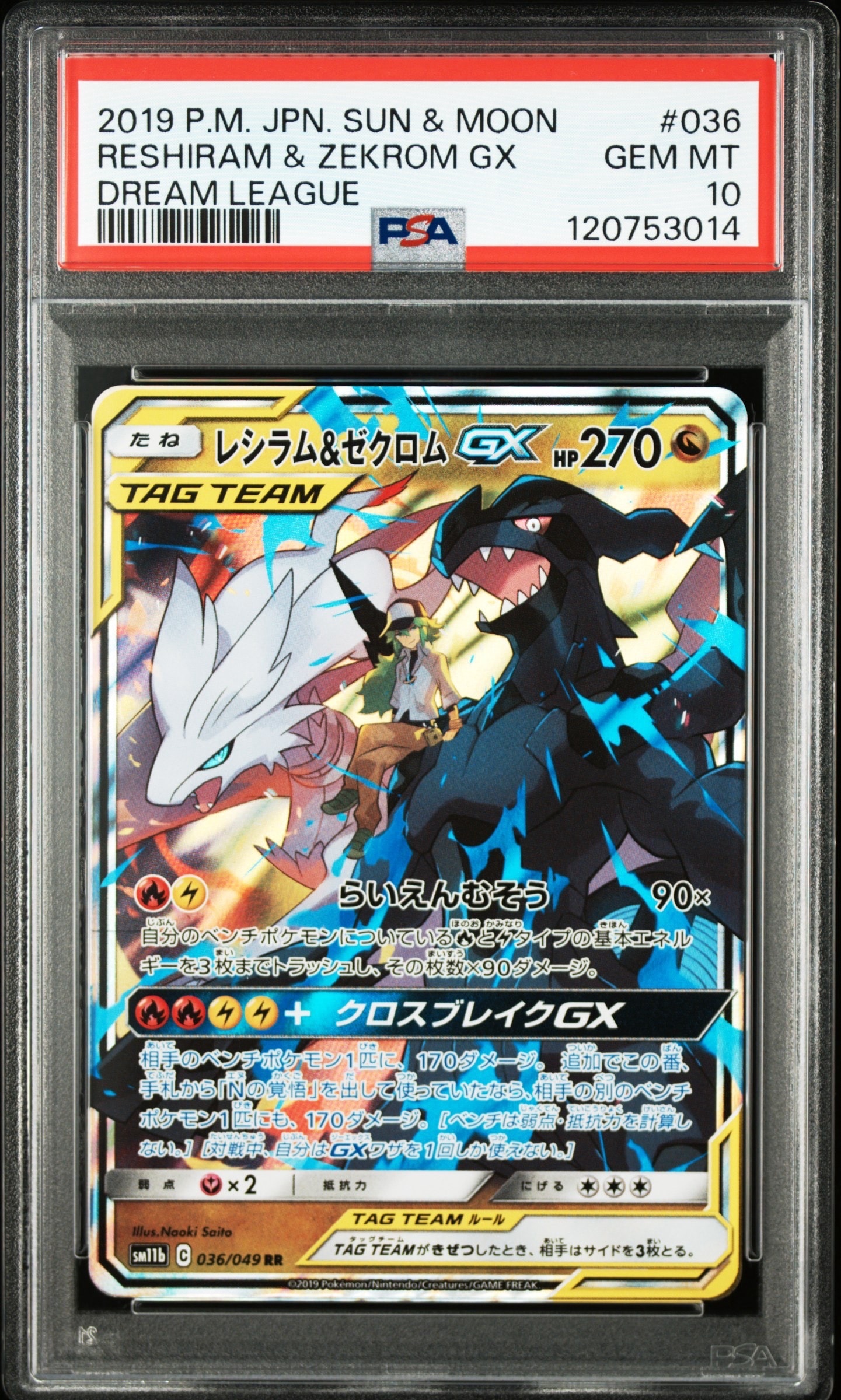 レシラム&ゼクロムGX (N) RR[SM11b 036/049](強化拡張パック「ドリームリーグ」)