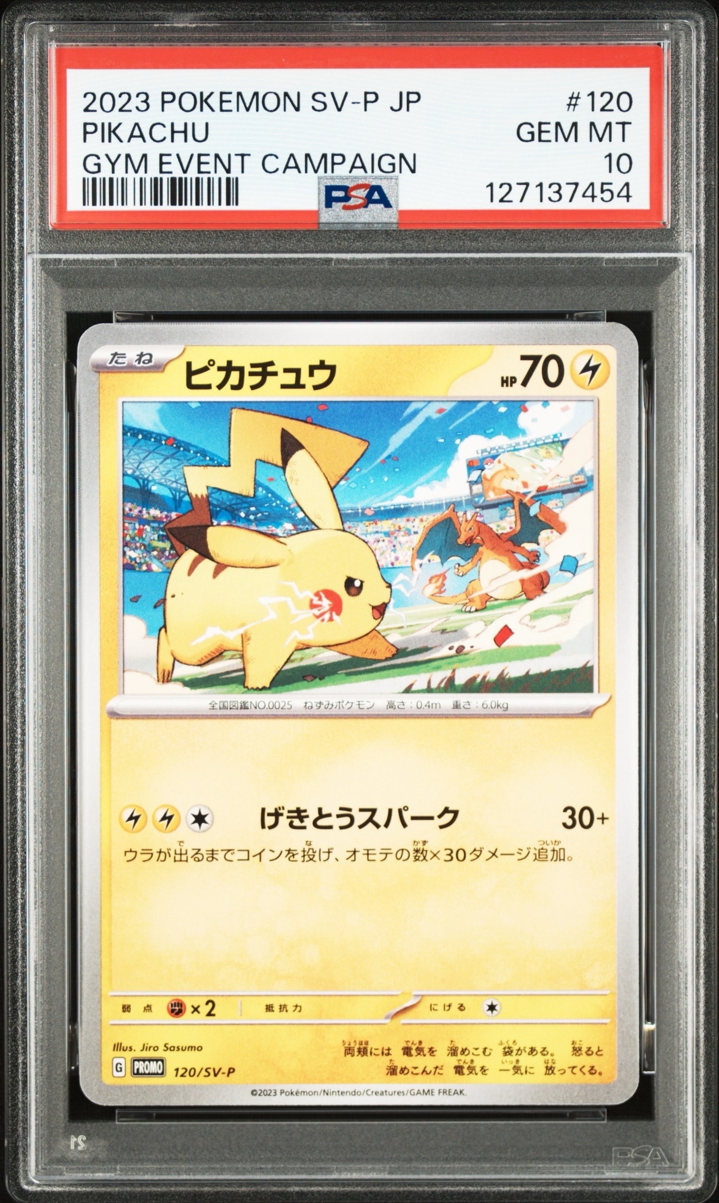 ピカチュウ: プロモ [SV-P 120](プロモーションカード「SV-P」)の新品