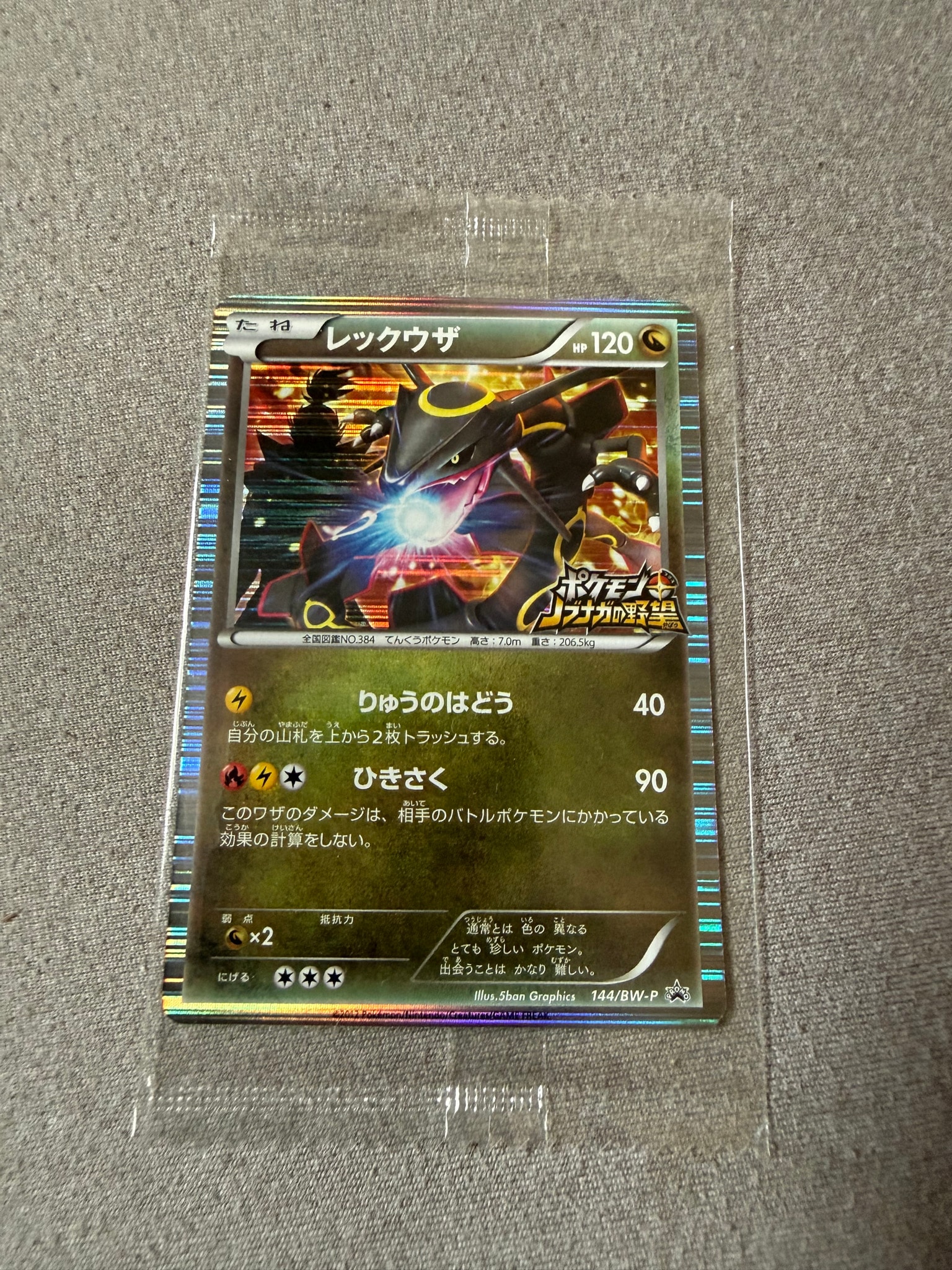 Rayquaza P [BW-P 144/BW-P](Promotional Cards "Pokemon + Nobunaga's Ambition First Press Limited Edition")