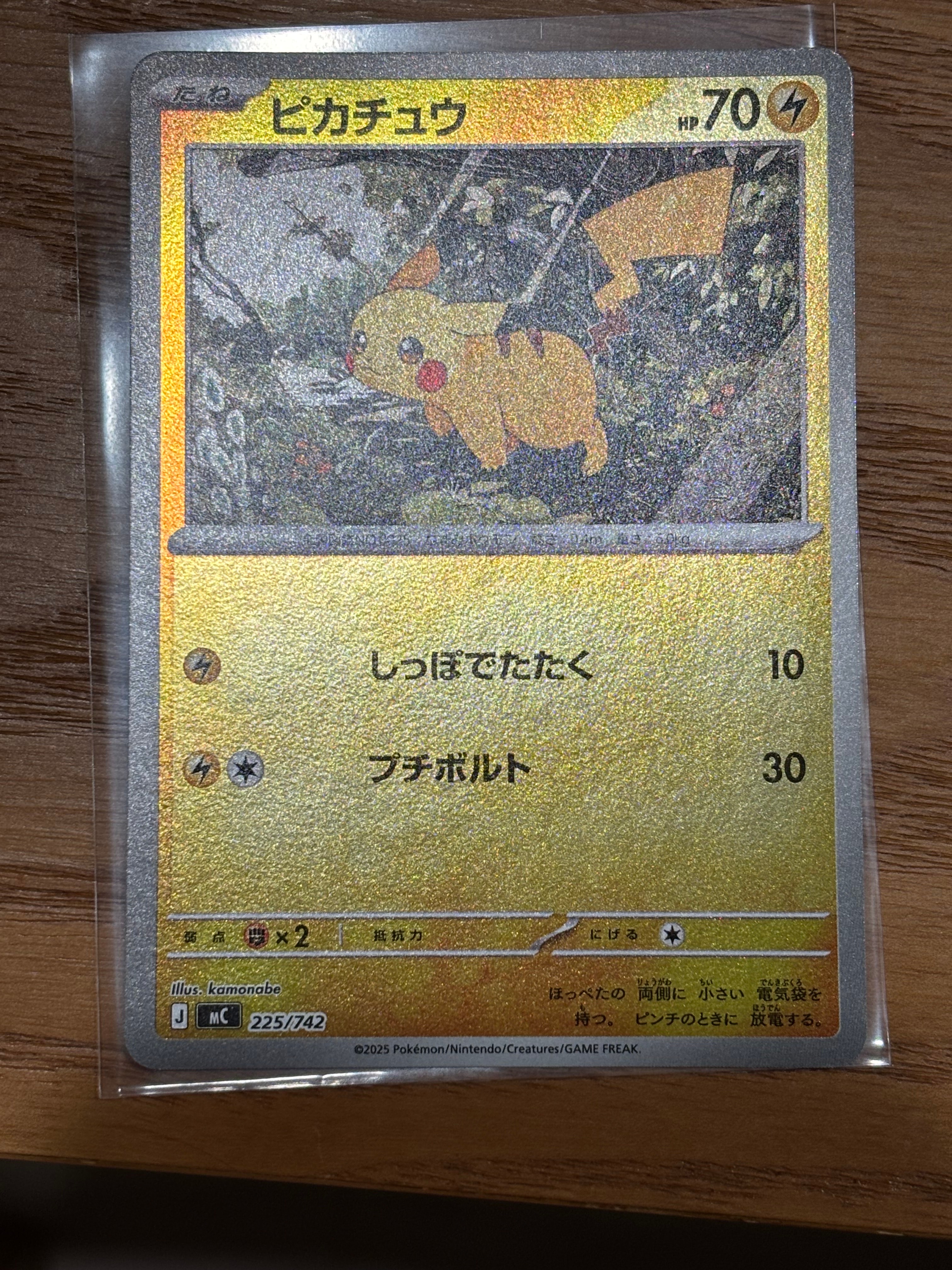 PSA10】オーヤマのピカチュウ: 旧裏[PMCG-EX](拡張シート) 1枚の中古