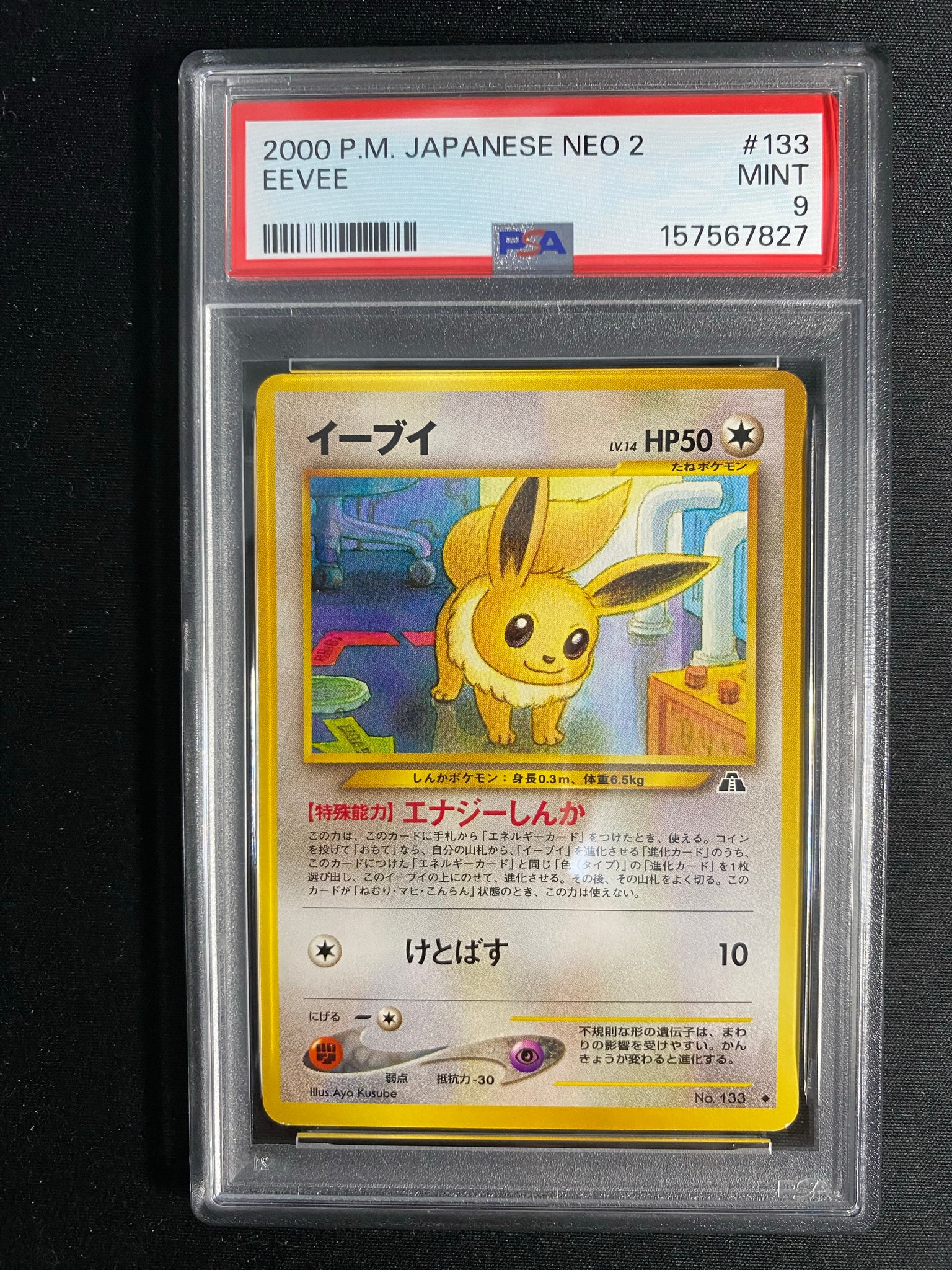 イーブイ NEO遺跡をこえて2020 VSS鑑定8 イーブイ ◇ : 旧裏 [neo2 No.133](ポケモンカード☆neo 拡張パック