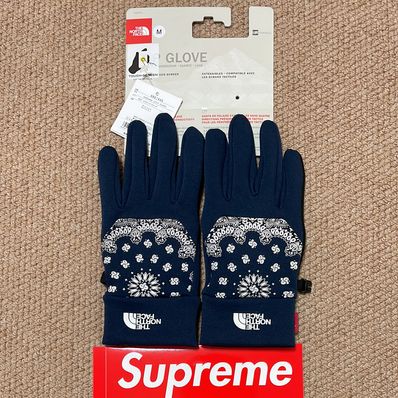Supreme The North Face Bandana Etip Glove "Navy"
