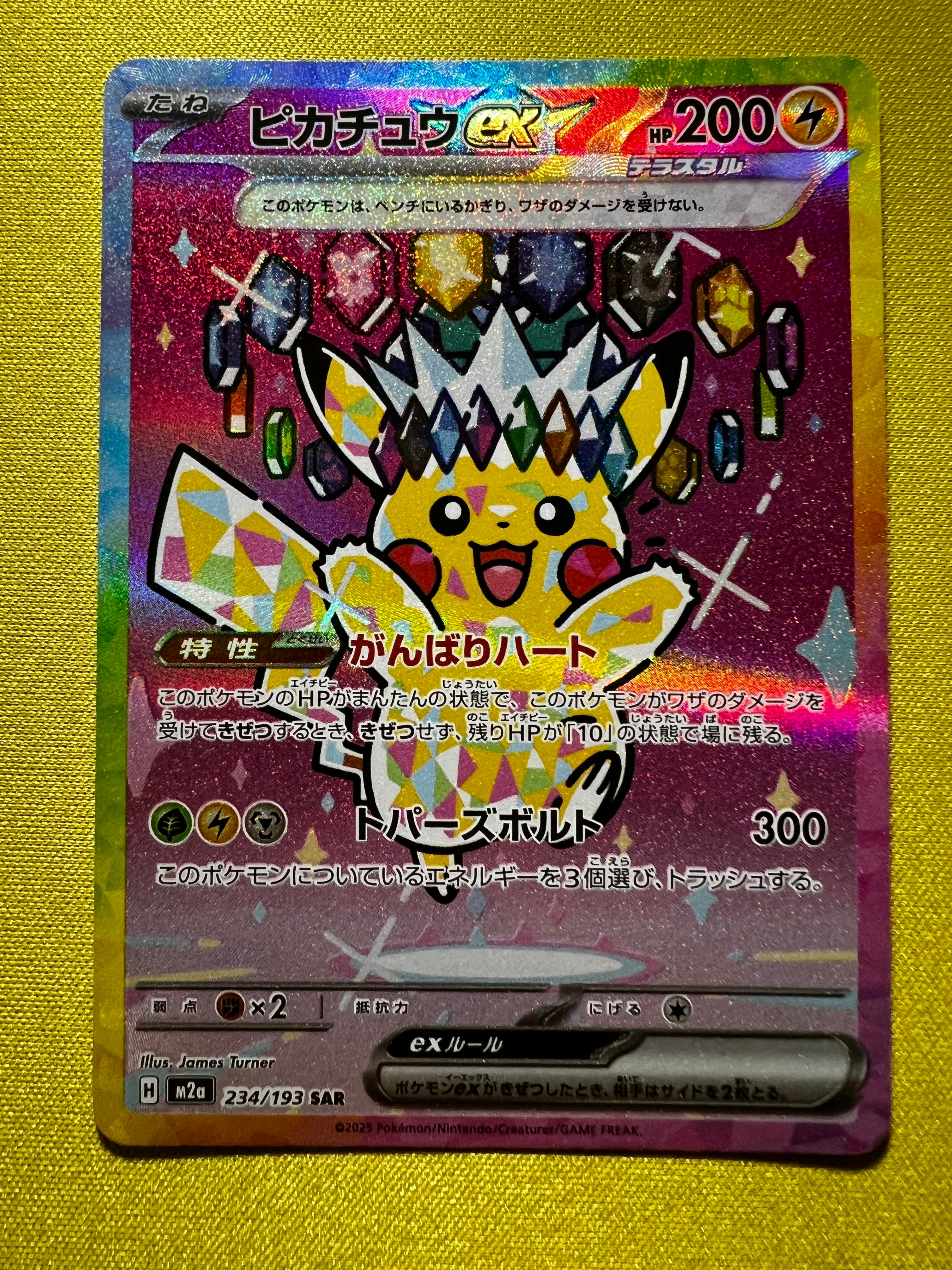 PSA10】ゼニガメ C: マスターボールミラー[SV2a 007/165](強化拡張