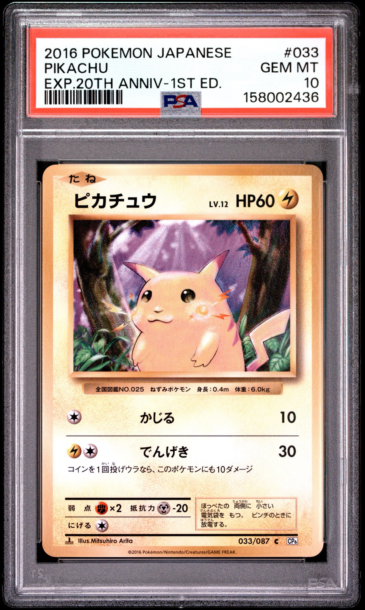 ピカチュウ C :1ED [CP6 033/087](コンセプトパック「ポケットモンスターカードゲーム 拡張パック 20th Anniversary」)