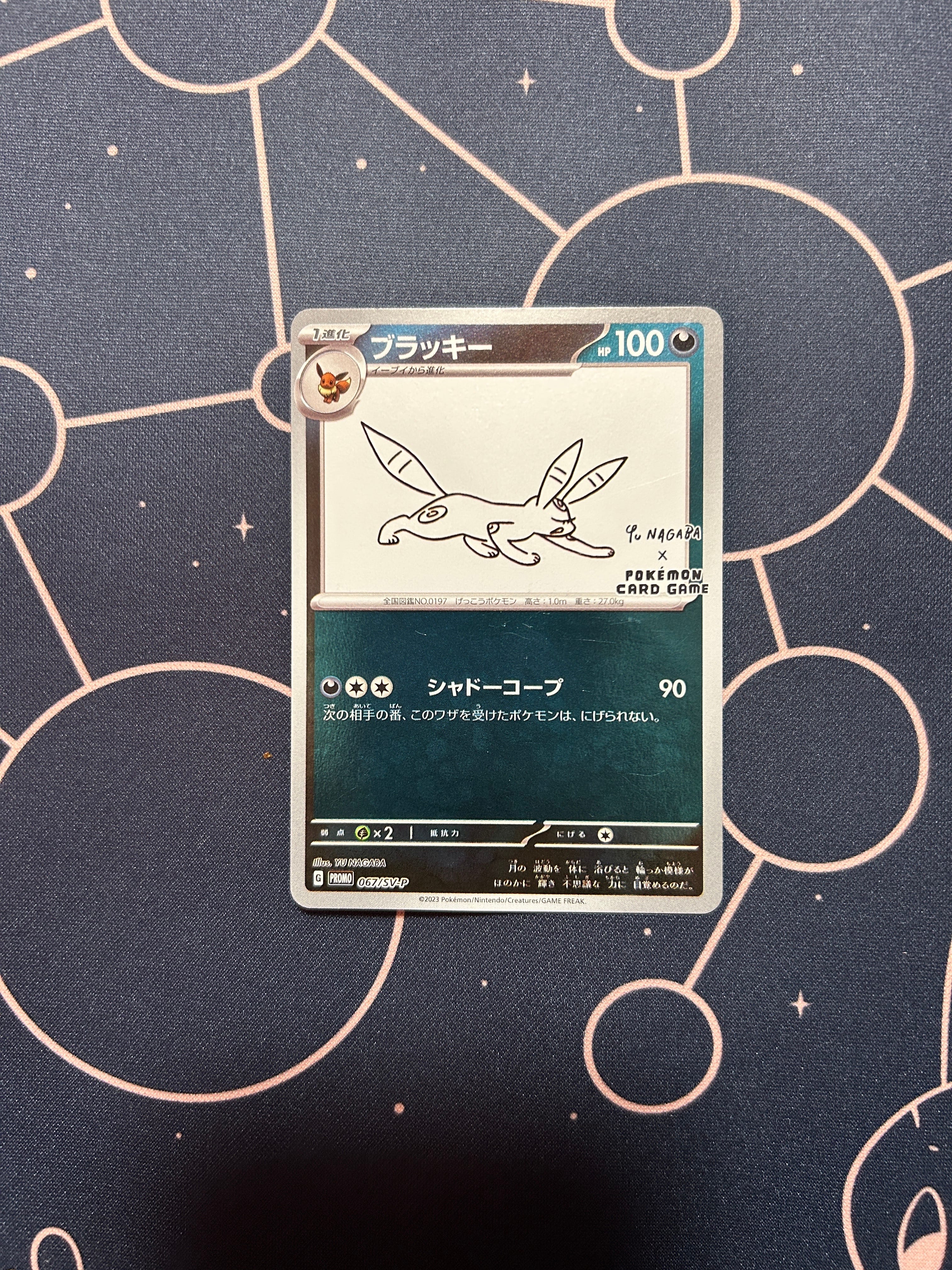 状態C】ブラッキー: プロモ (ナガバブラッキー) [SV-P 067](「YU