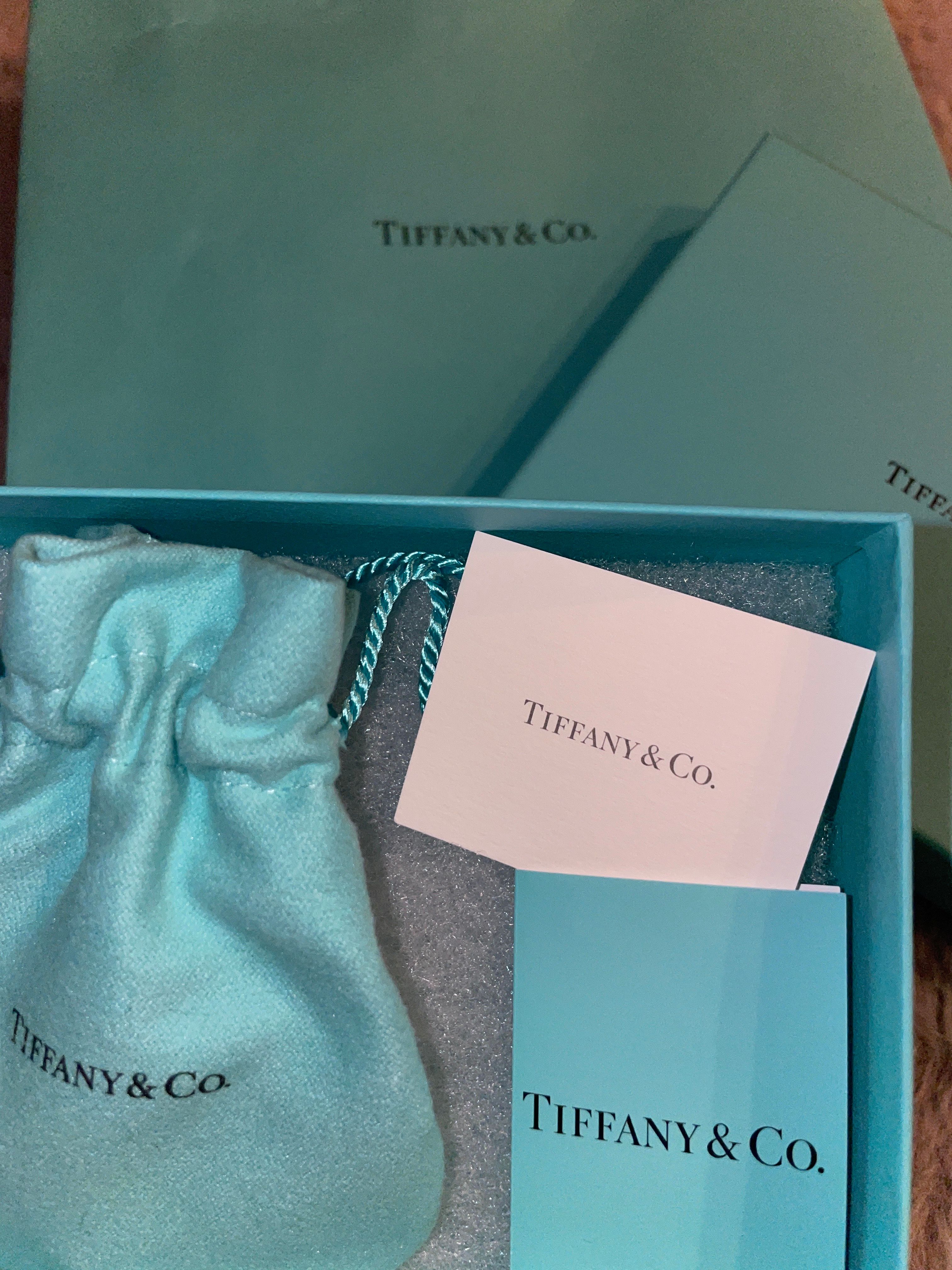 Tiffany & Co. Tiffany HardWear Link Necklace "Silver"