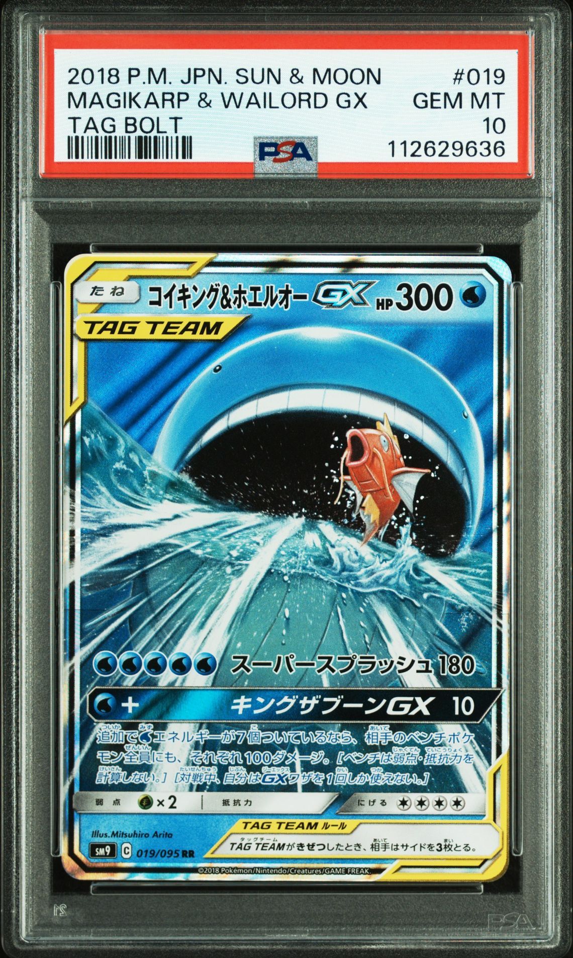 コイキング&ホエルオーGX RR [SM9 019/095](拡張パック「タッグボルト」)