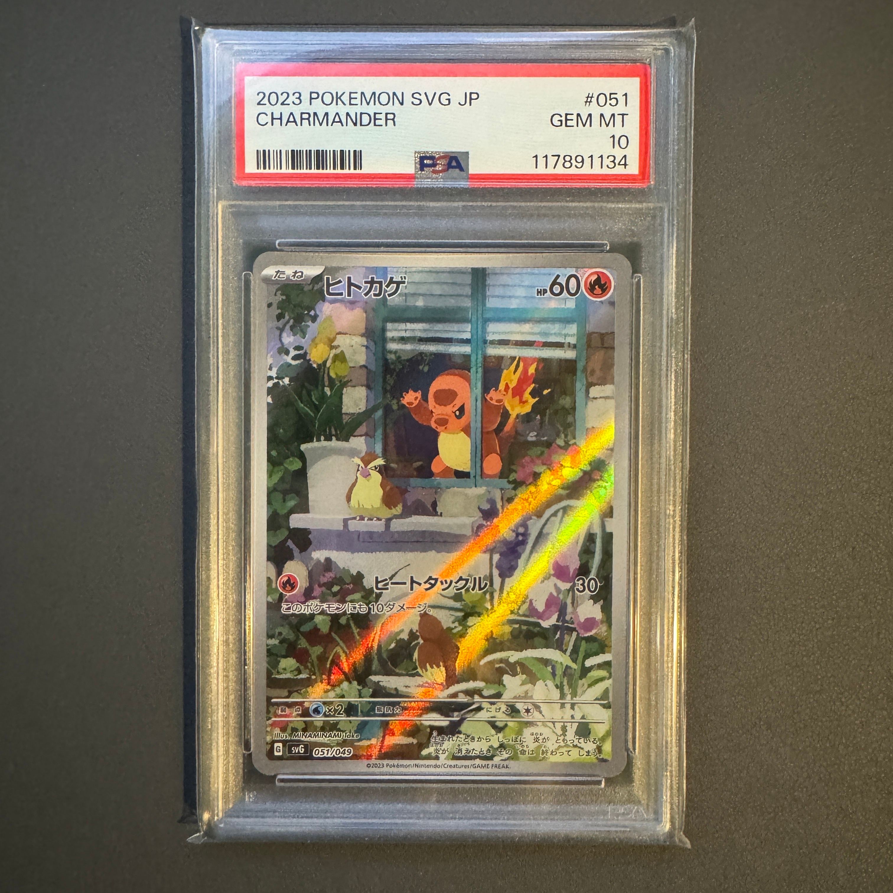 ヒトカゲ :フルイラスト [SVG 051/049](スペシャルデッキセットex「フシギバナ・リザードン・カメックス」)