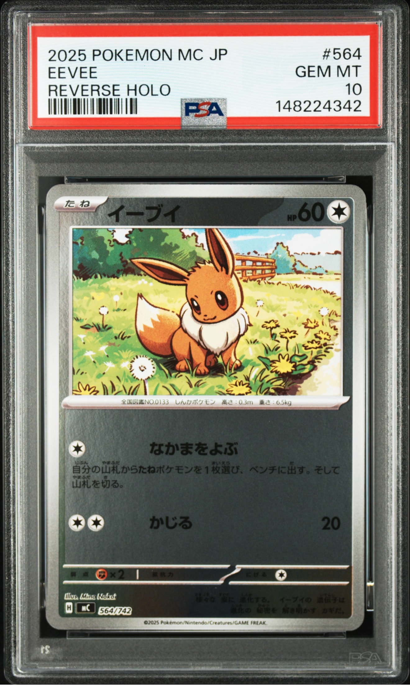 PSA10】イーブイ :ミラー [MC 564/742](スタートデッキ100「バトル
