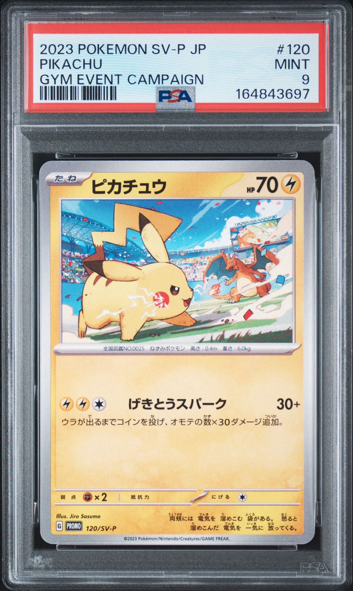 ピカチュウ: プロモ [SV-P 120](プロモーションカード「SV-P」)通販