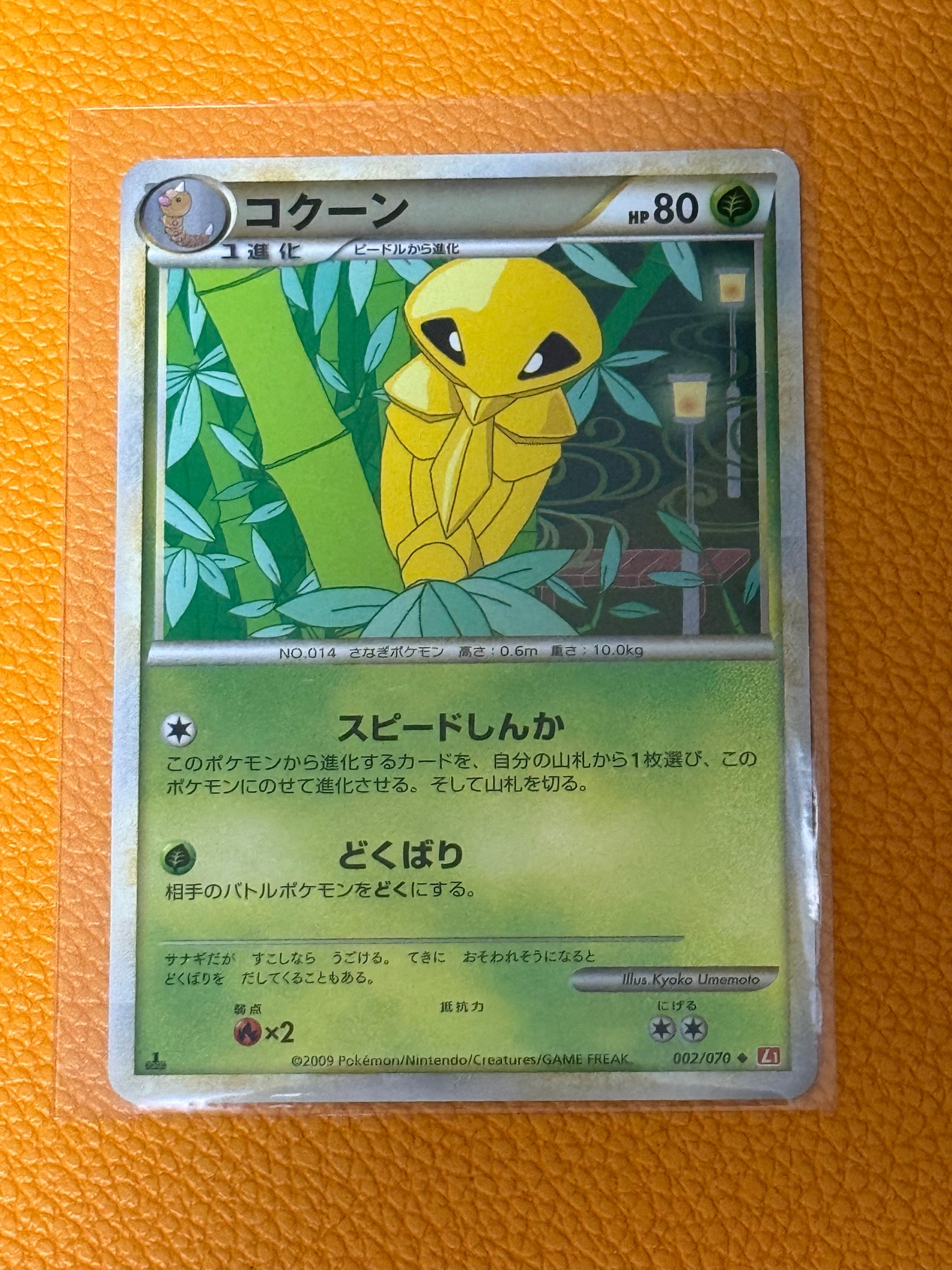 コクーン ◇ :1ED [L1-H 002/070](拡張パック「ハートゴールド