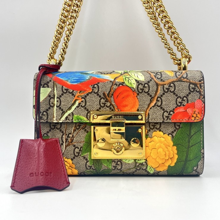 ■極美品■グッチ チェーンショルダーバッグ ティアン パドロック PVC B (目立った傷や汚れなし)】GUCCI（グッチ）ティアン パドロック