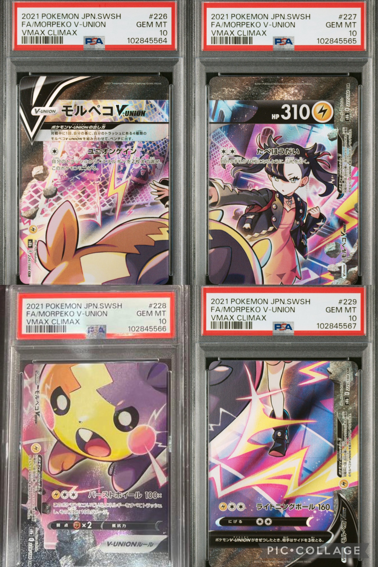 モルペコV-UNION CSR[S8b 226-229/184](ハイクラスパック「VMAXクライマックス」)