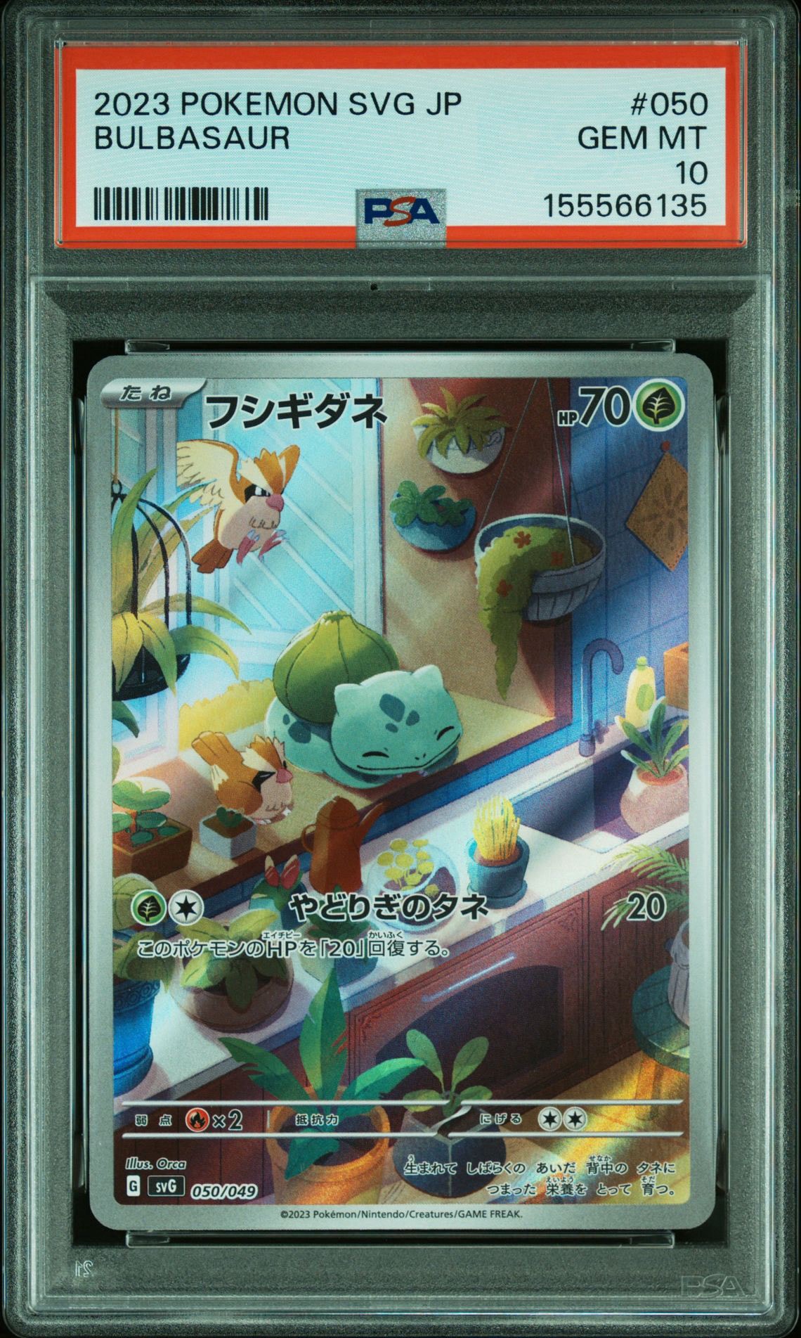 フシギダネ :フルイラスト [SVG 050/049](スペシャルデッキセットex「フシギバナ・リザードン・カメックス」)