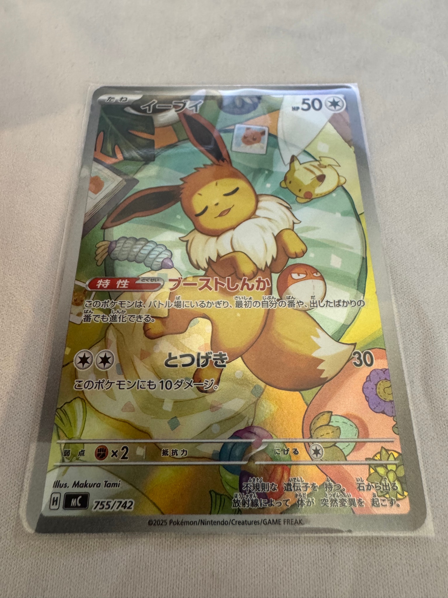 【PSA10】イーブイ SML サン＆ムーン ファミリーポケモン 037/051 PSA10】イーブイ [SML 037/051](サン&ムーン「ファミリーポケモン