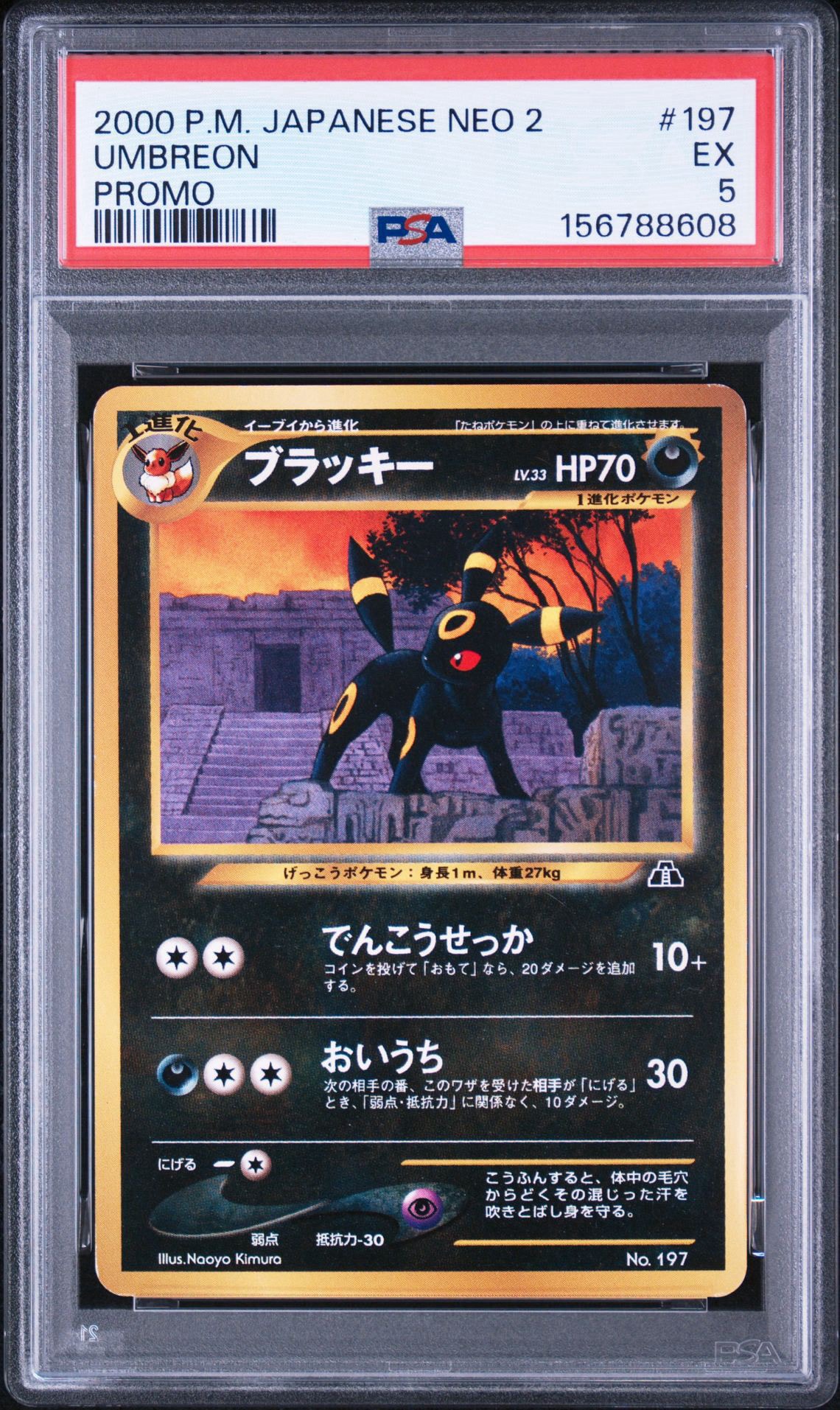 PSA10】ブラッキープレミアムファイル2: 旧裏[neoP2 No.197