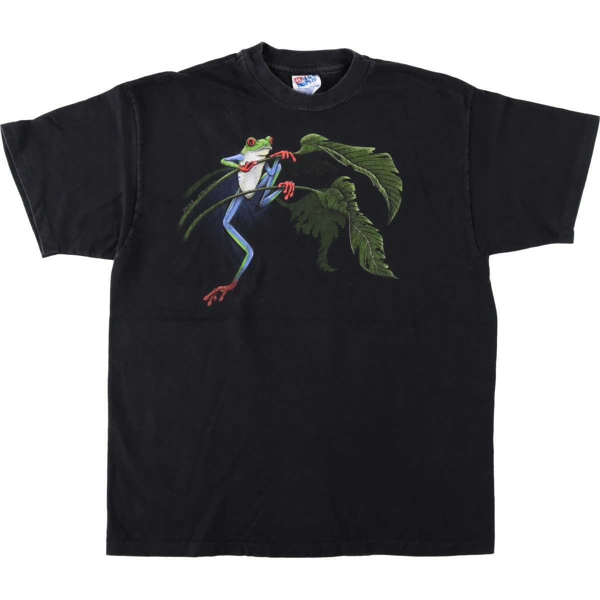 古着 90年代 ヘインズ Hanes BEEFY-T カエル柄 アニマルTシャツ USA製 メンズL相当 ヴィンテージ/eaa623670