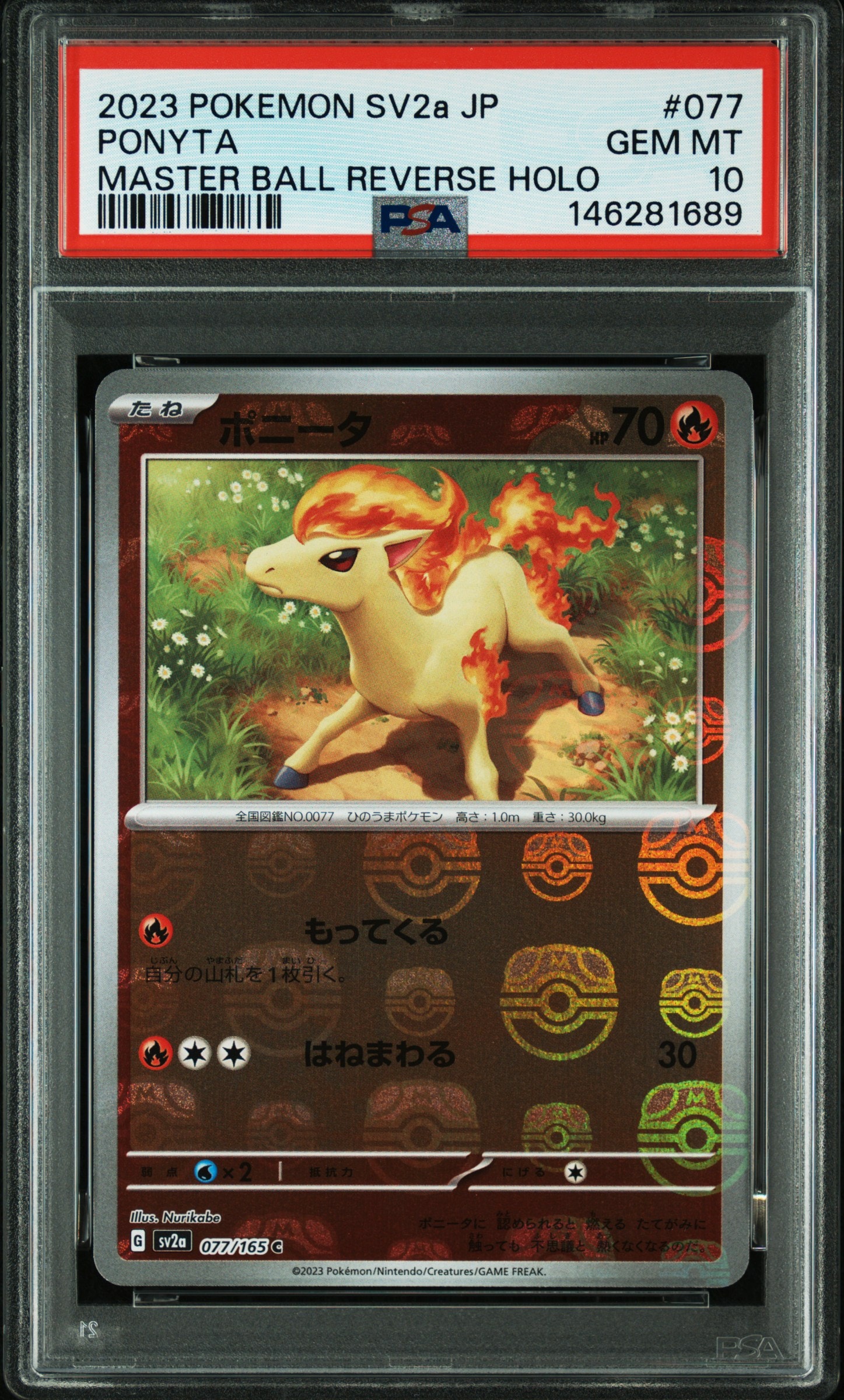ビクティニ P [SV-P 288](プロモーションカード「ビクティニBWR争奪戦