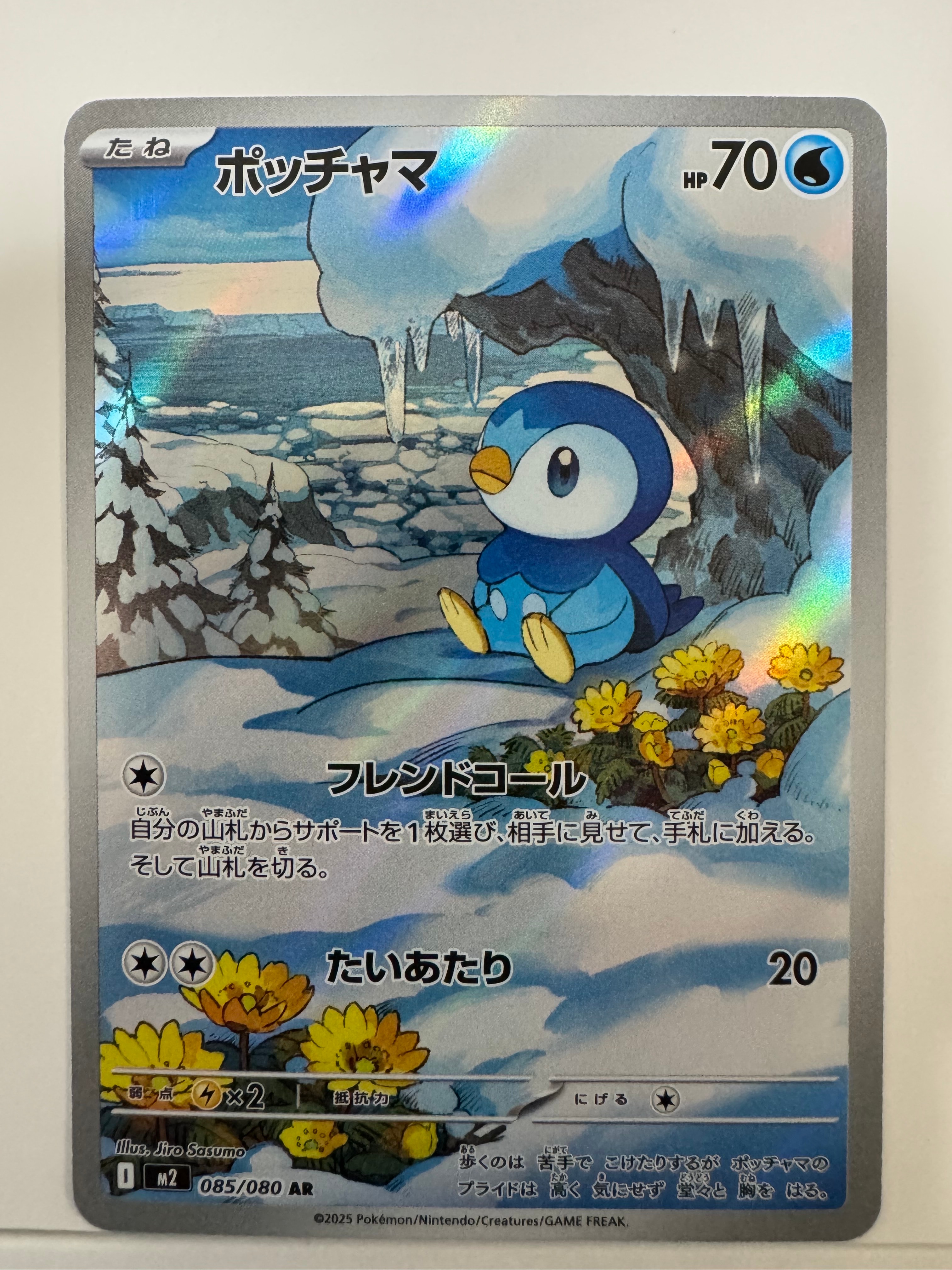 PSA10】ポッチャマ AR [M2 085/080](拡張パック「インフェルノX」) 1枚