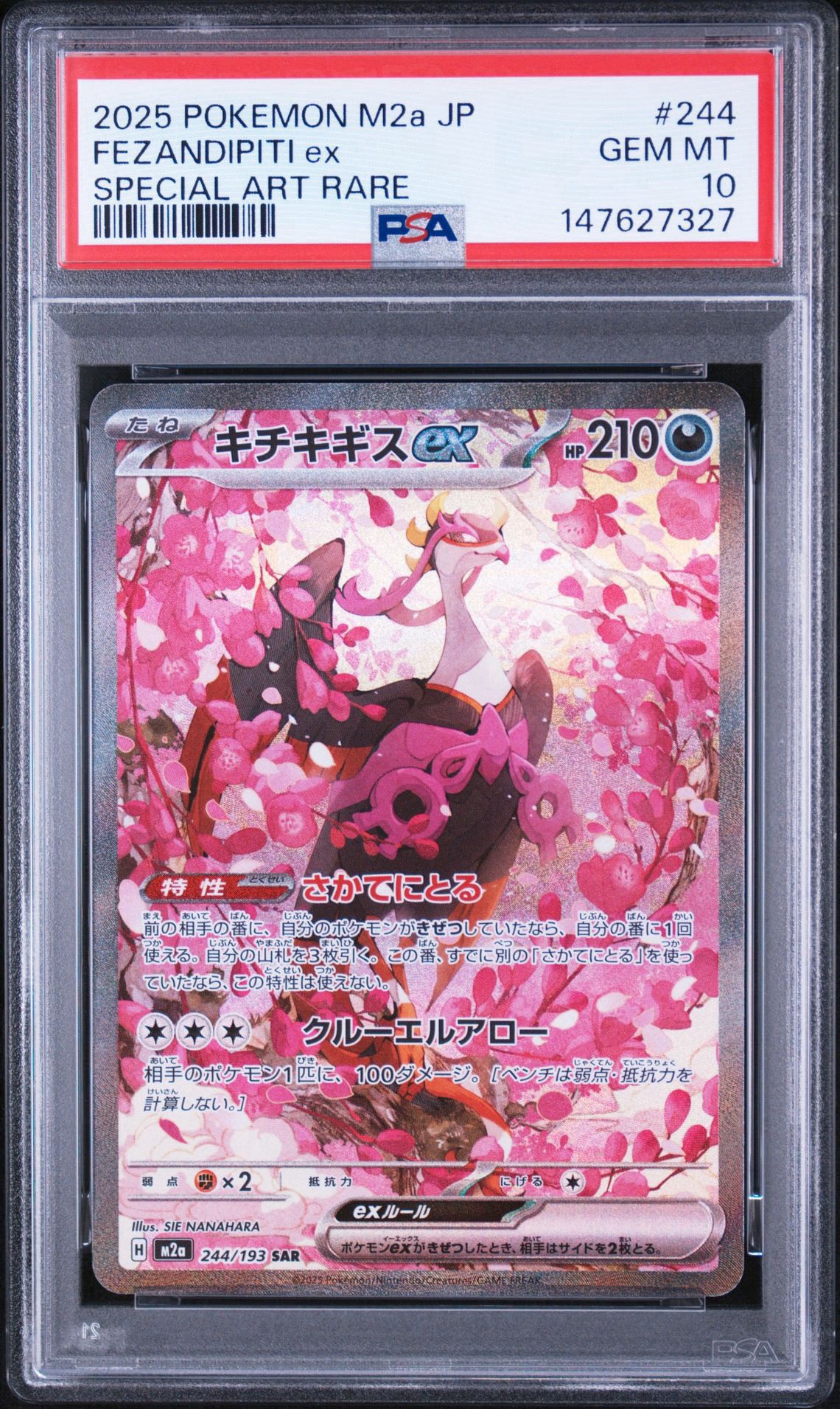 PSA10】ゼニガメ : 旧裏 [PMCGI No.016](拡張パック「イントロパック