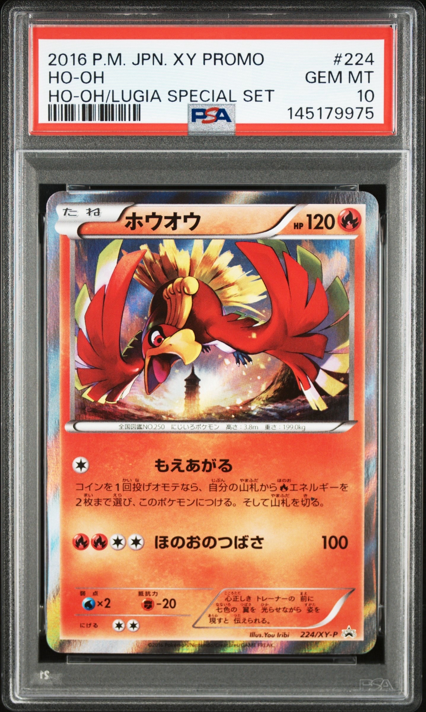 ホウオウ: プロモ[XY-P 224/XY-P](プロモーションカード「XY-P」)