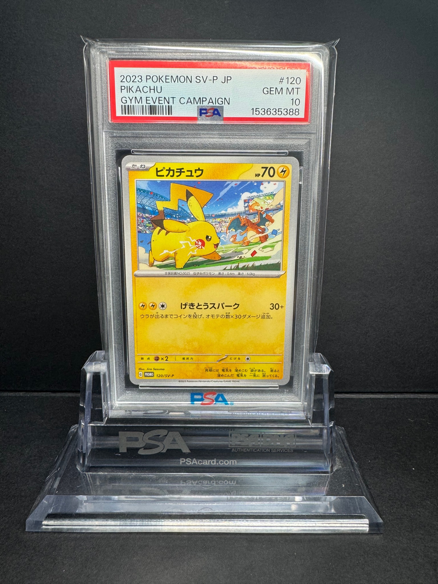ピカチュウ: プロモ [SV-P 120](プロモーションカード「SV-P」)通販
